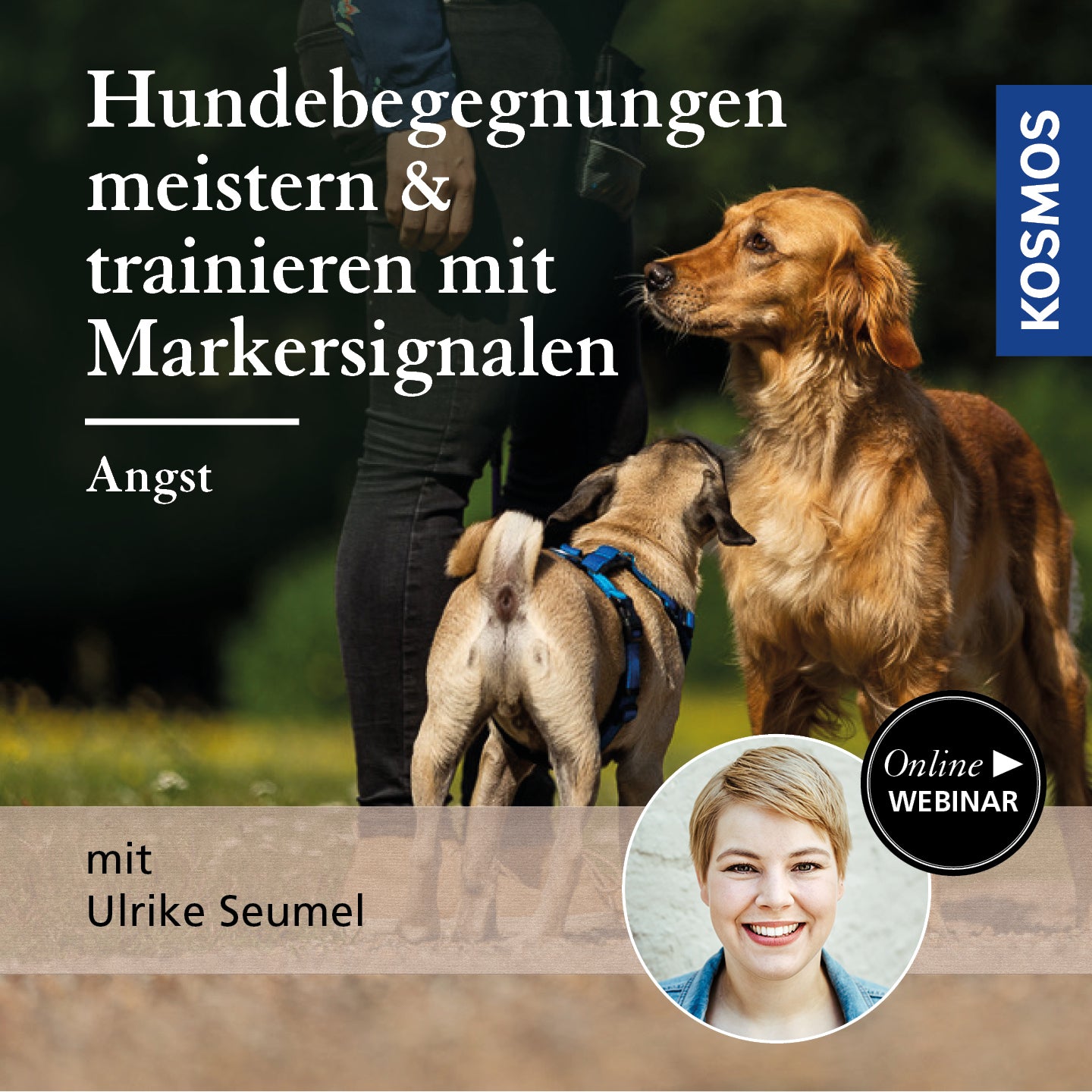 Hundebegegnungen meistern & trainieren mit Markersignalen: Angst