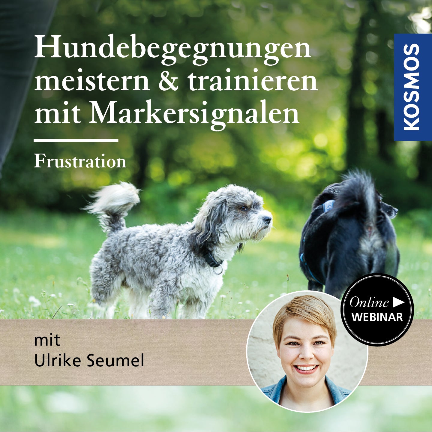 Hundebegegnungen meistern & trainieren mit Markersignalen: Frustration