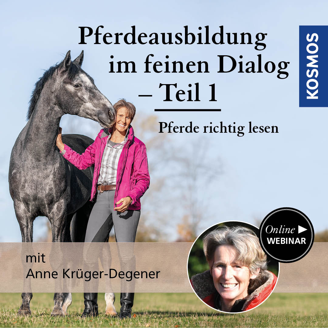 Pferdeausbildung im feinen Dialog - Pferde richtig lesen