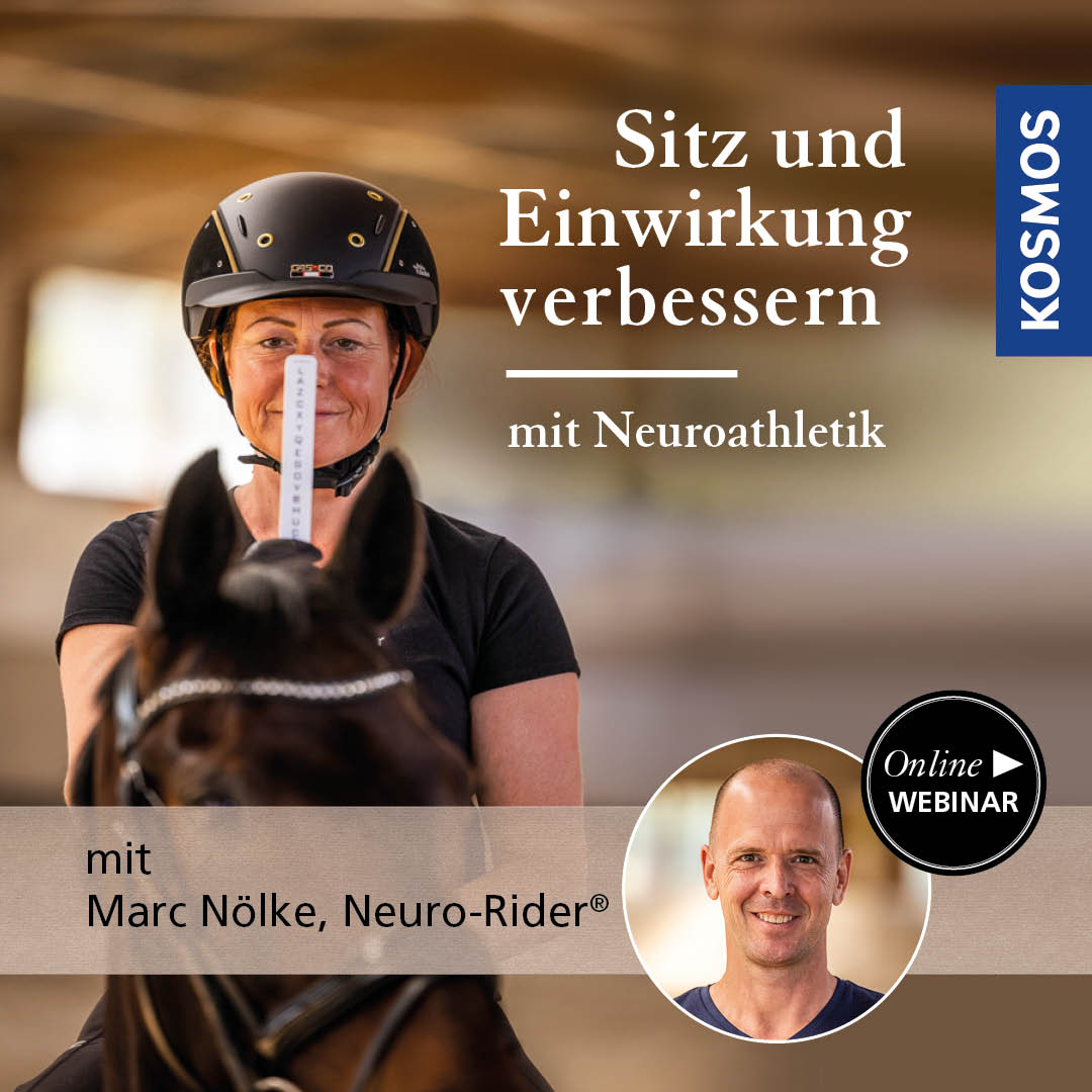 Sitz und Einwirkung verbessern mit Neuroathletik