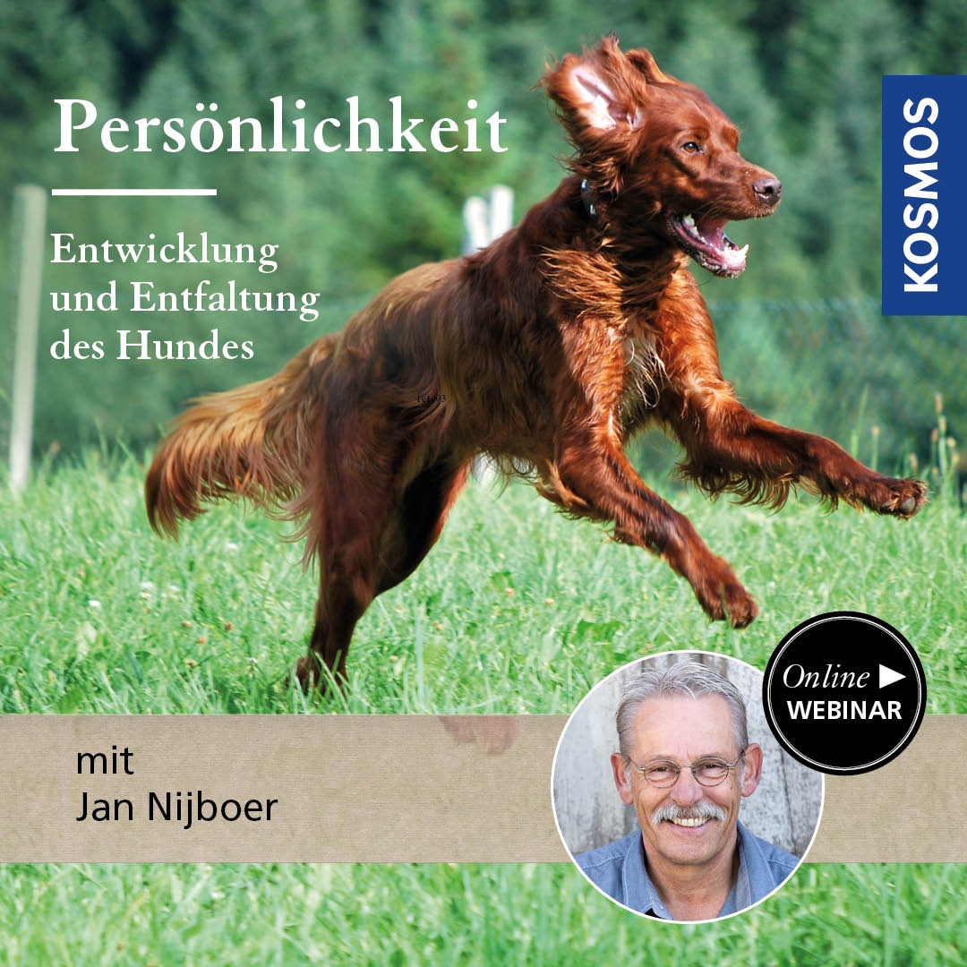 Persönlichkeit – Entwicklung und Entfaltung des Hundes