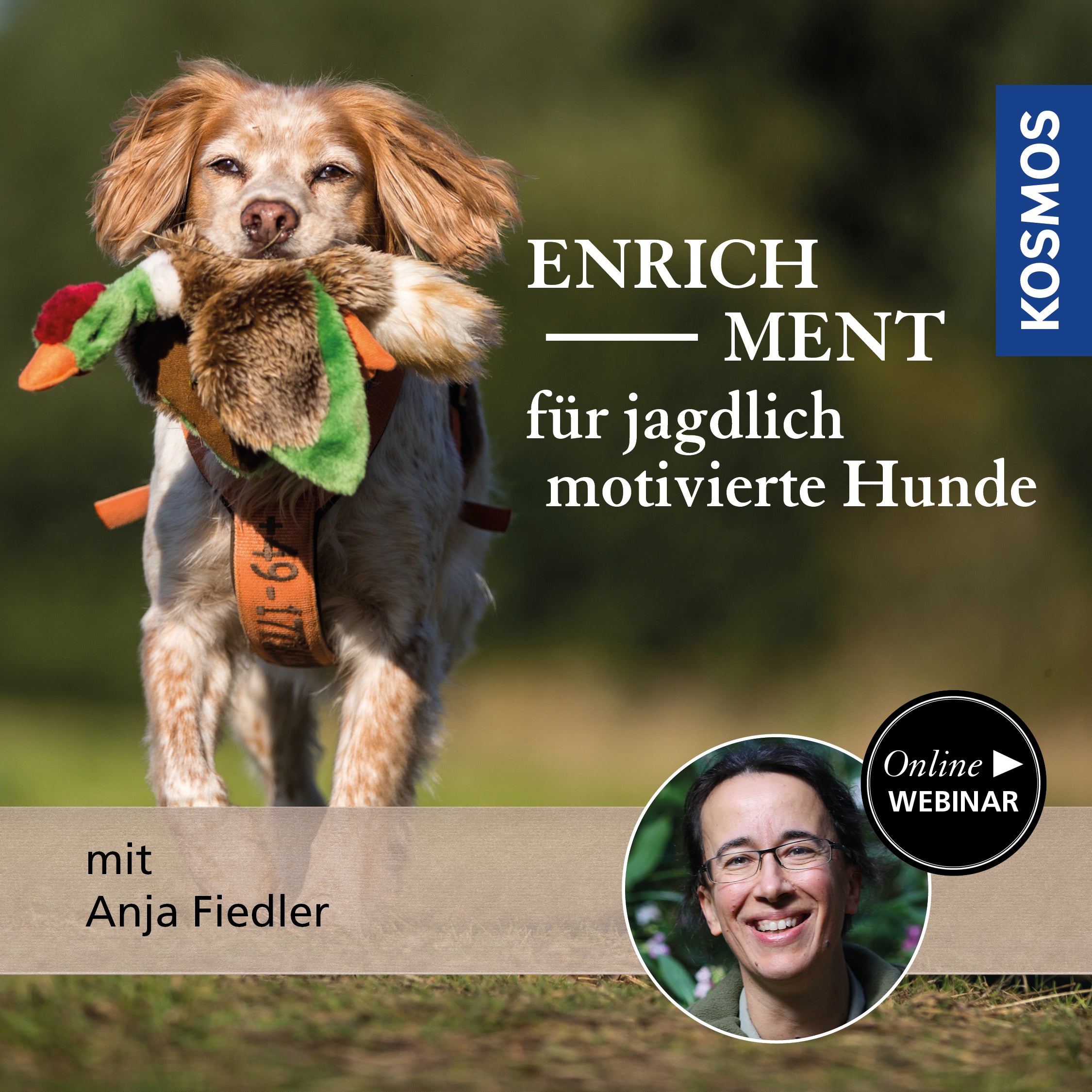 Enrichment für jagdlich motivierte Hunde – hündische Hobbys, die bereichern