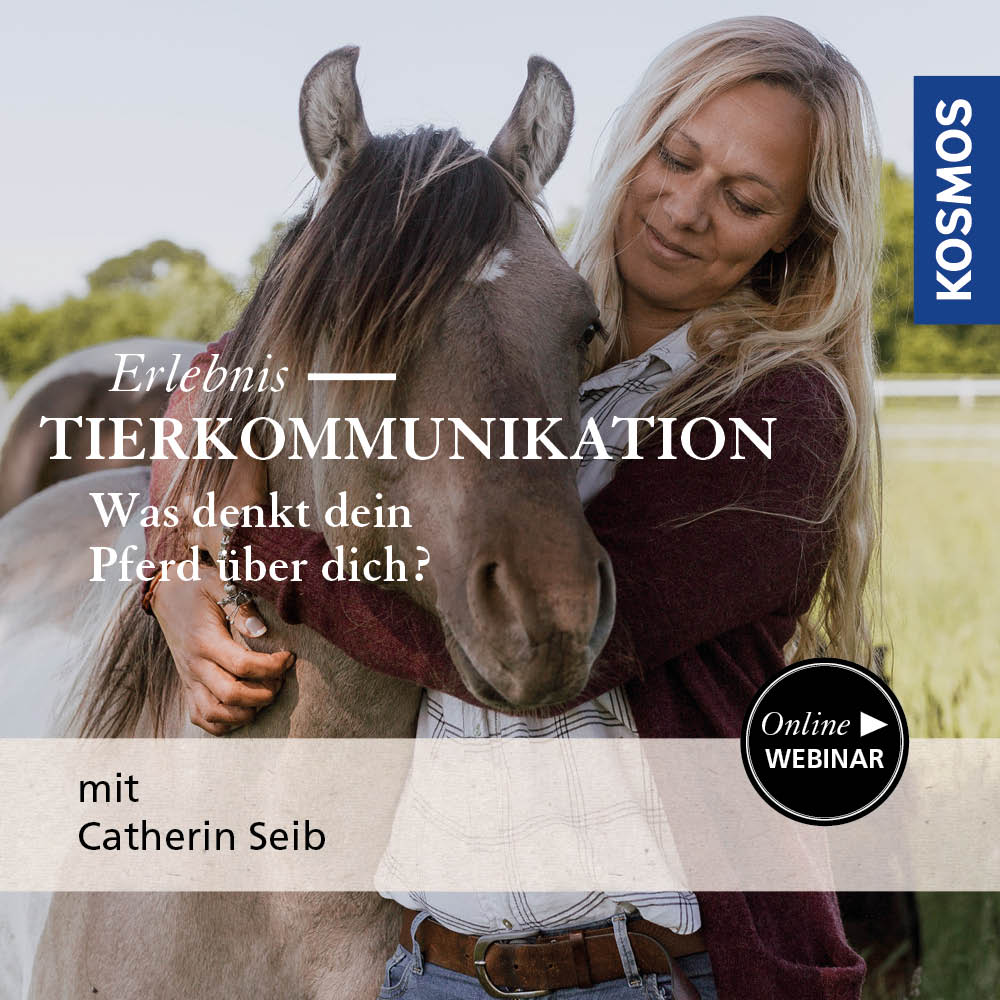 Animal Communication Experience - What does your horse think of you?