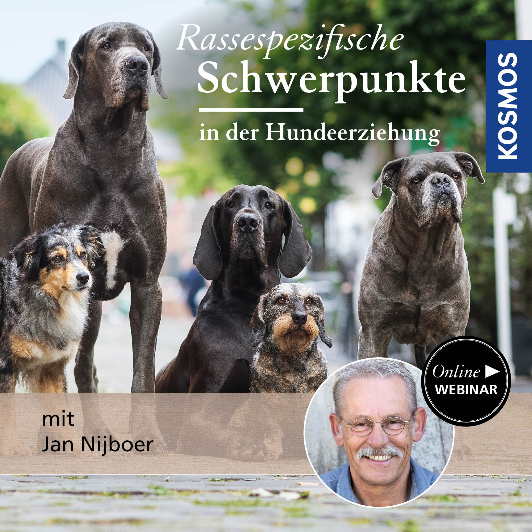 Rassespezifische Schwerpunkte in der Hundeerziehung