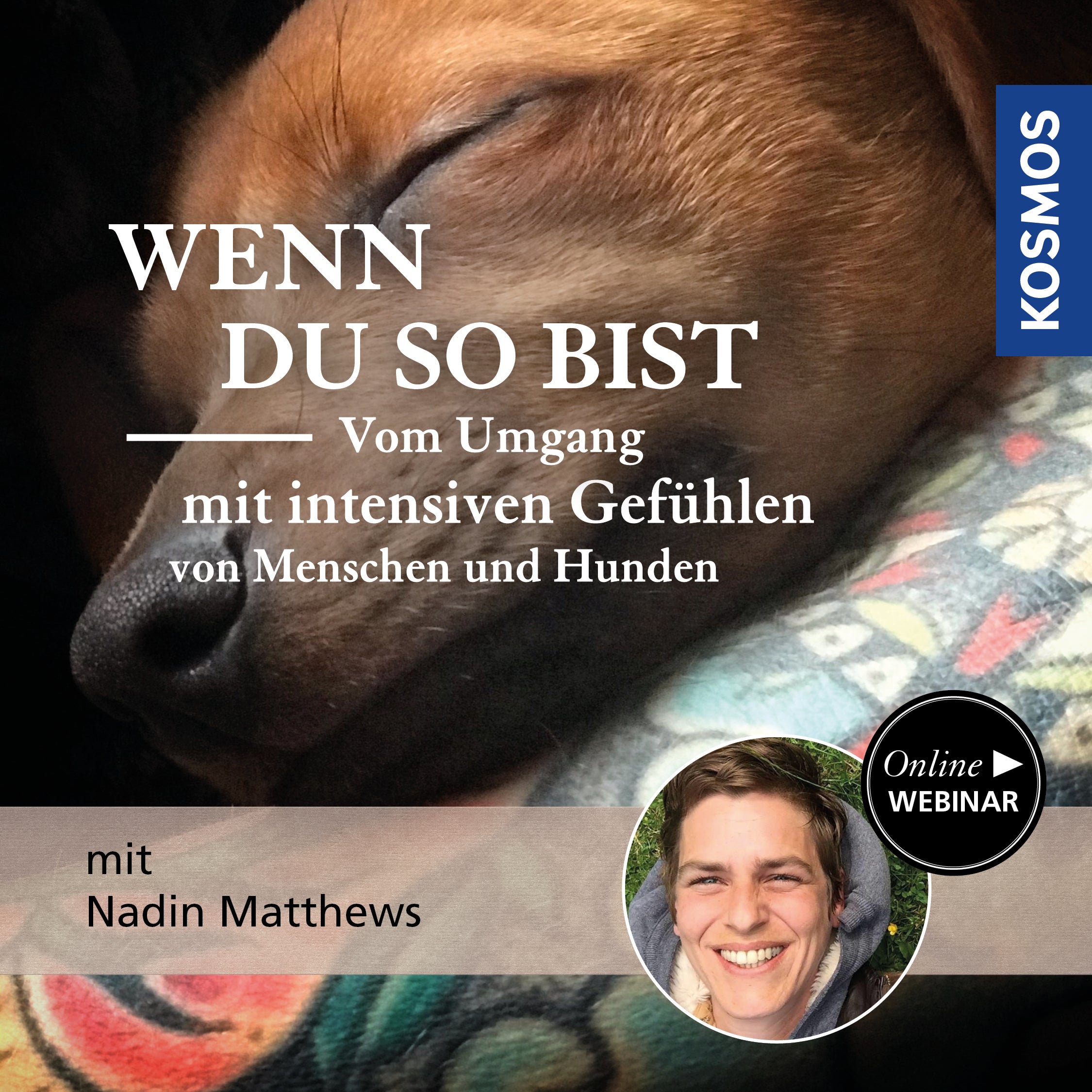 Wenn du so bist – Vom Umgang mit intensiven Gefühlen von Menschen und Hunden