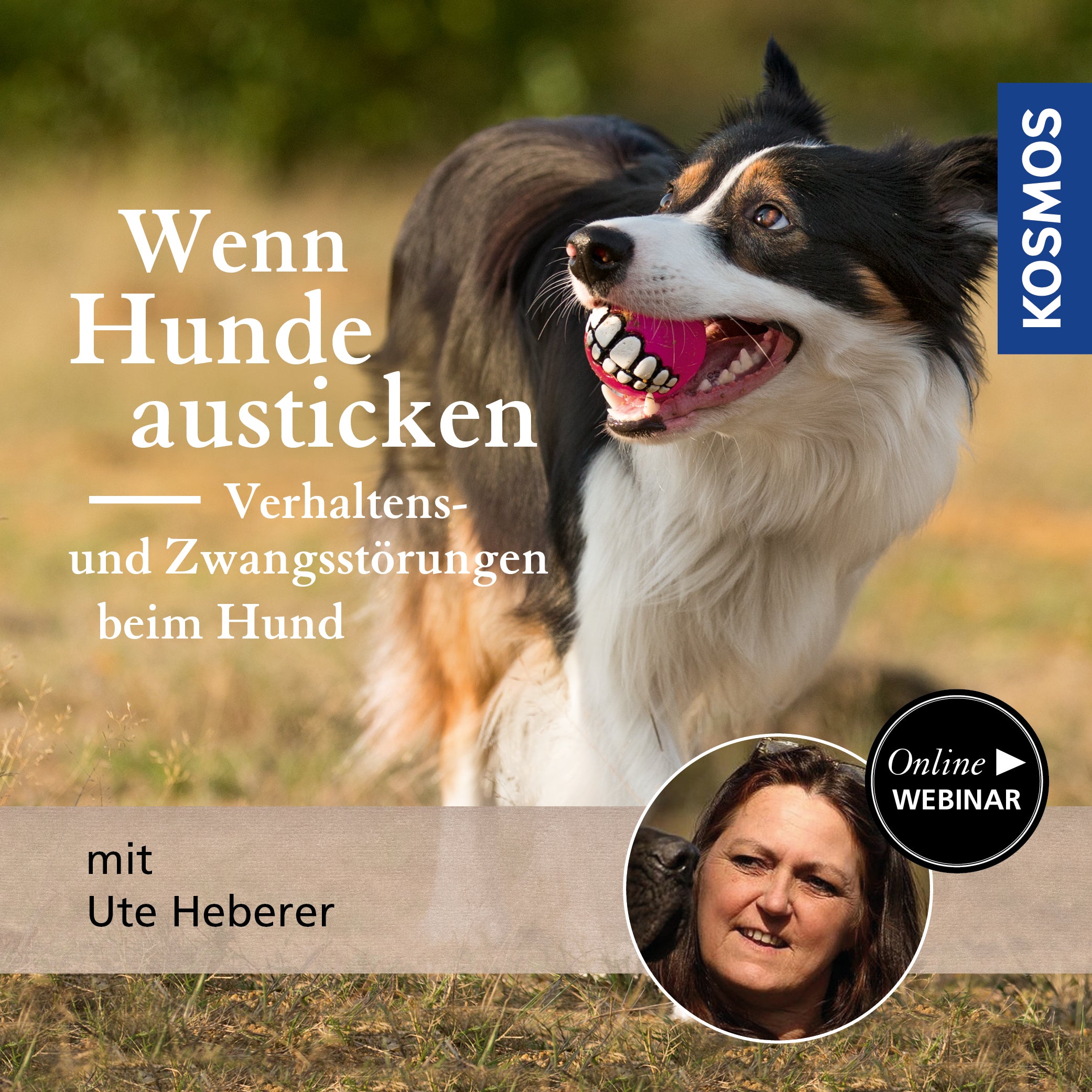 Wenn Hunde austicken – Verhaltens- und Zwangsstörungen beim Hund