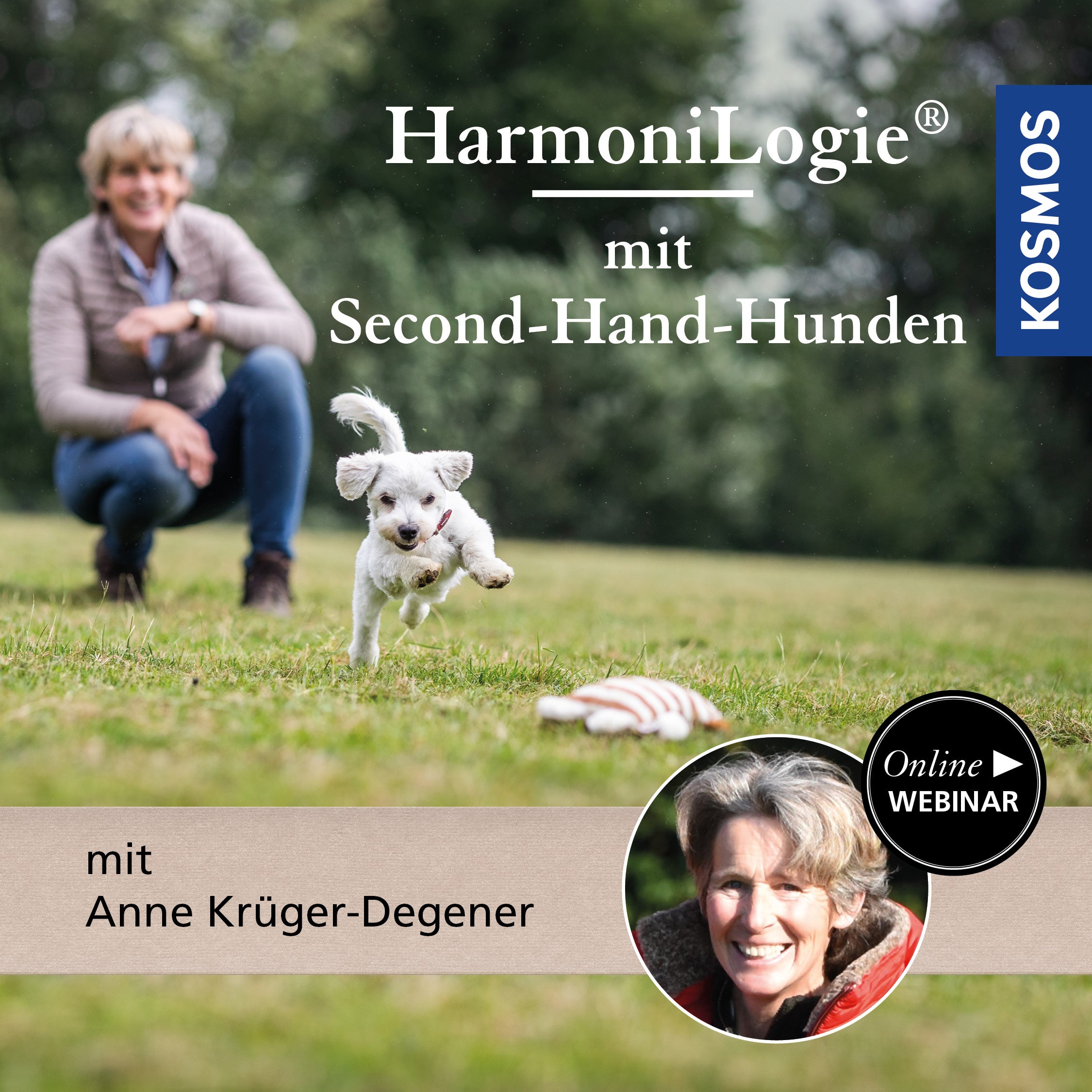 HarmoniLogie mit Second-Hand-Hunden