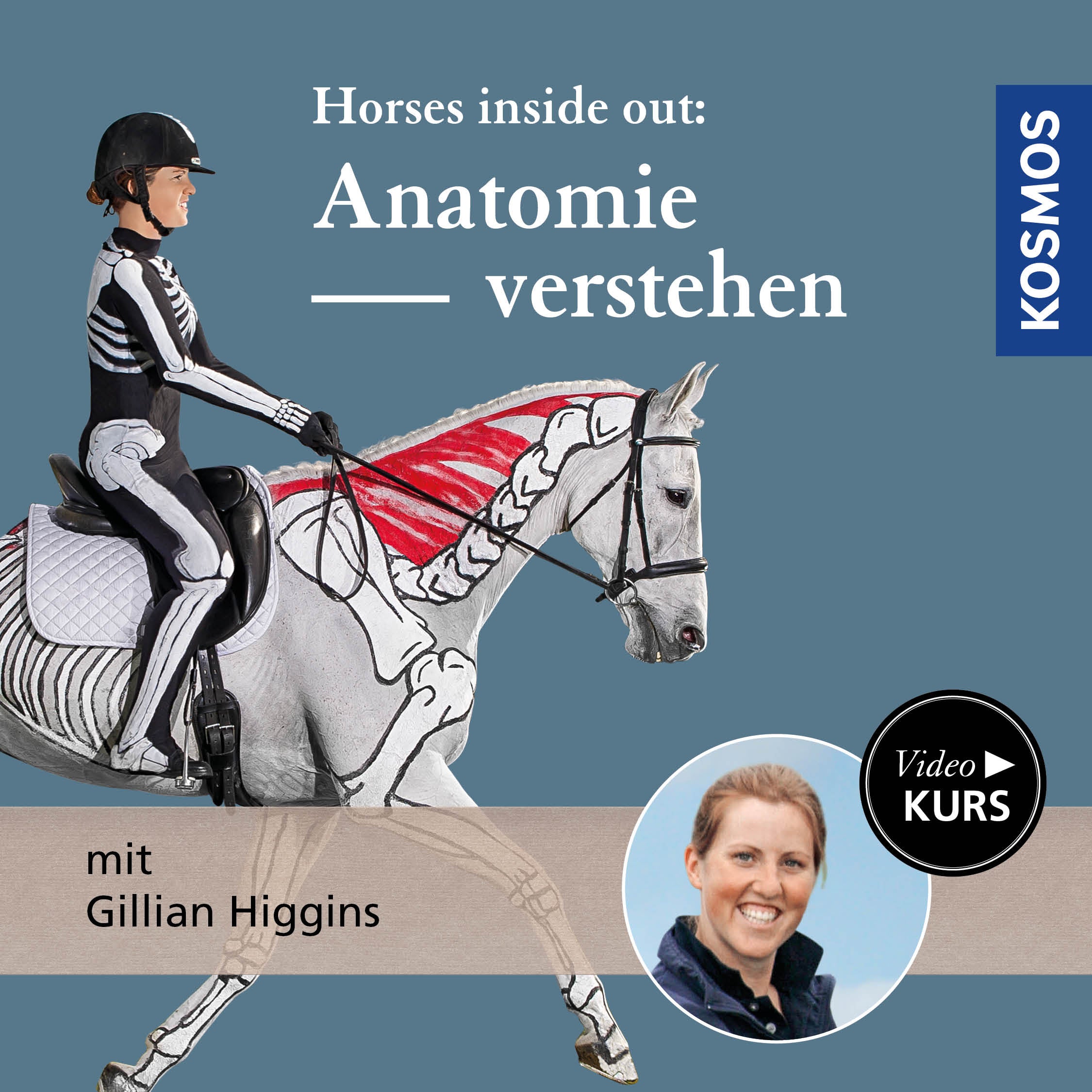 Videokurs Anatomie verstehen mit Gillian Higgins – Horses inside out