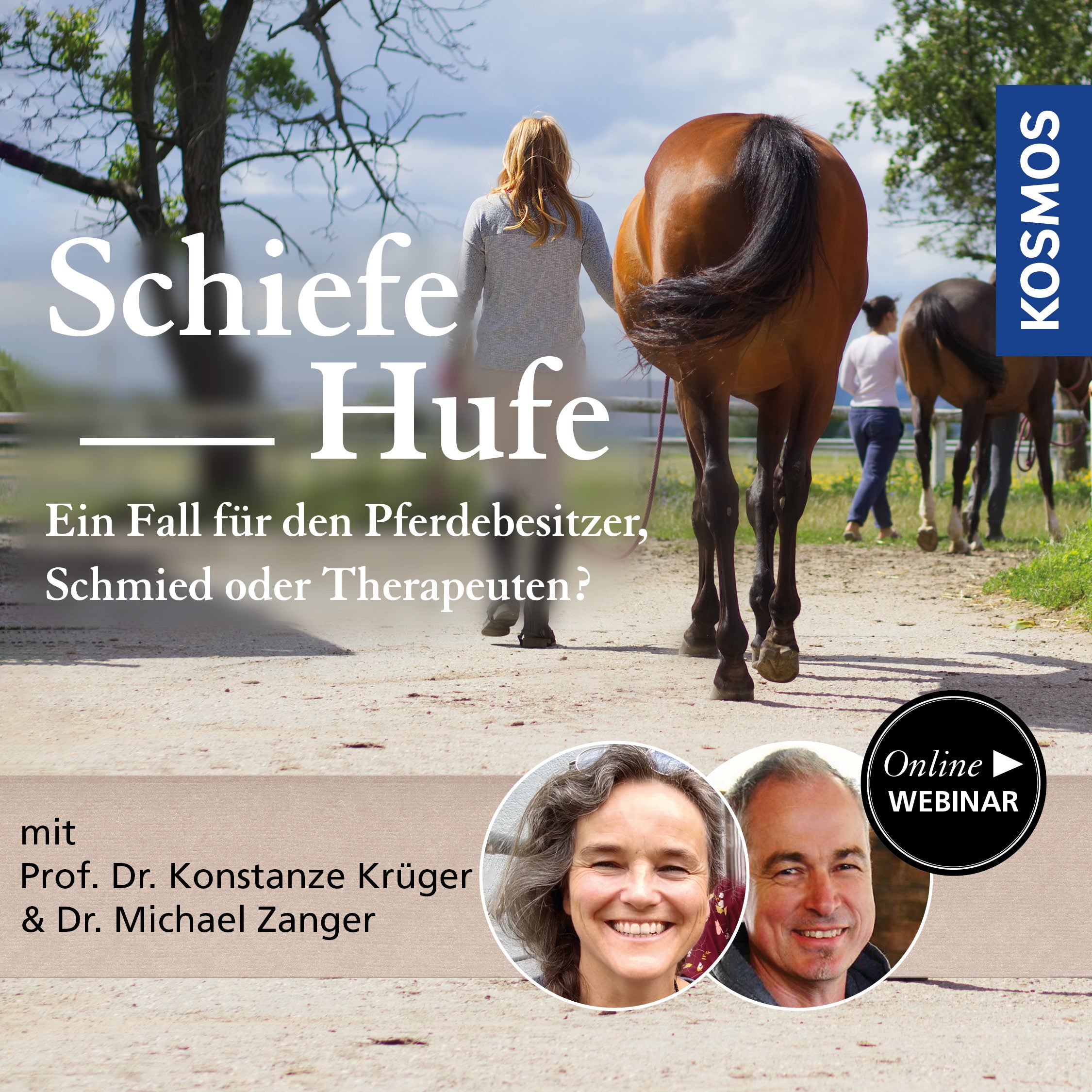 Schiefe Hufe – ein Fall für den Pferdebesitzer, Schmied oder Therapeuten?