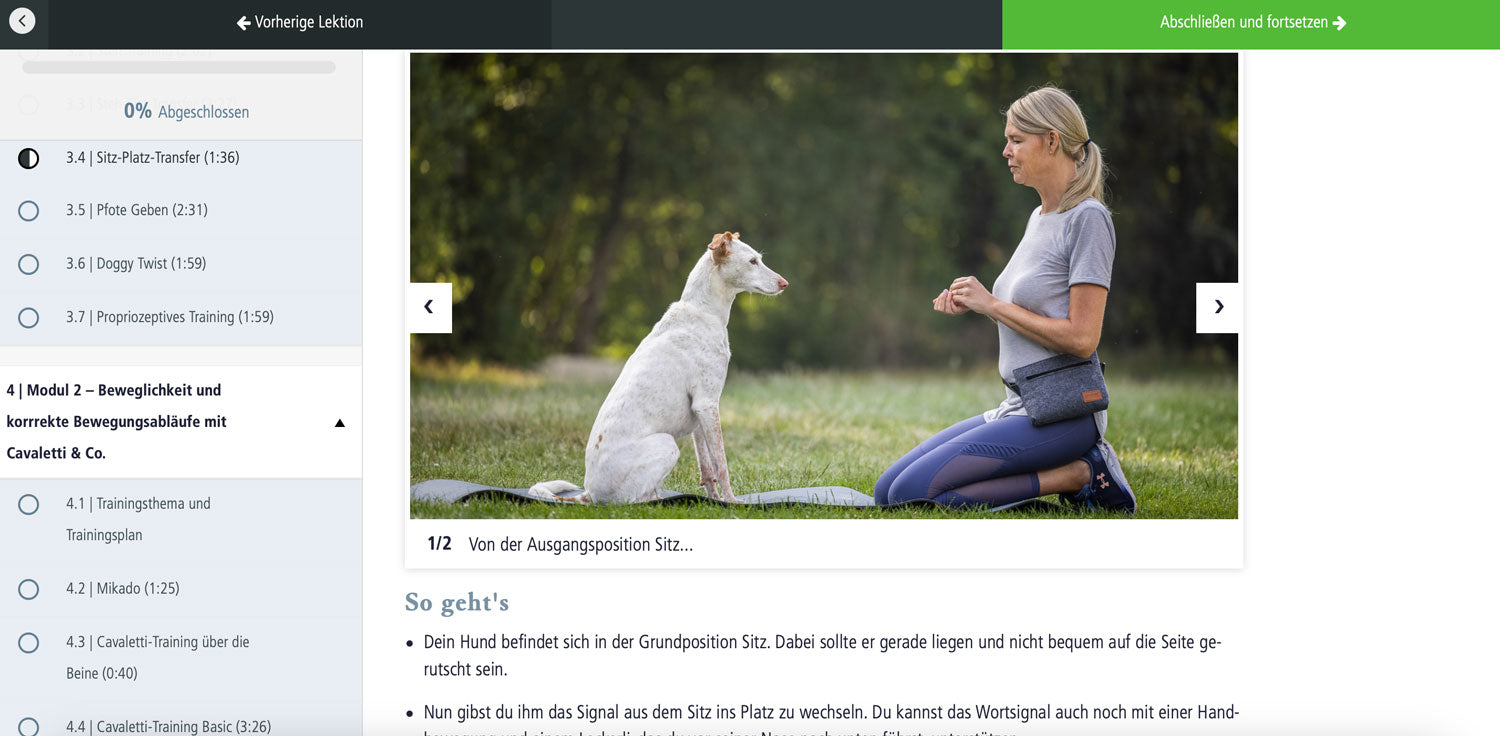 Just Fit – Hundefitness für Jederhund
