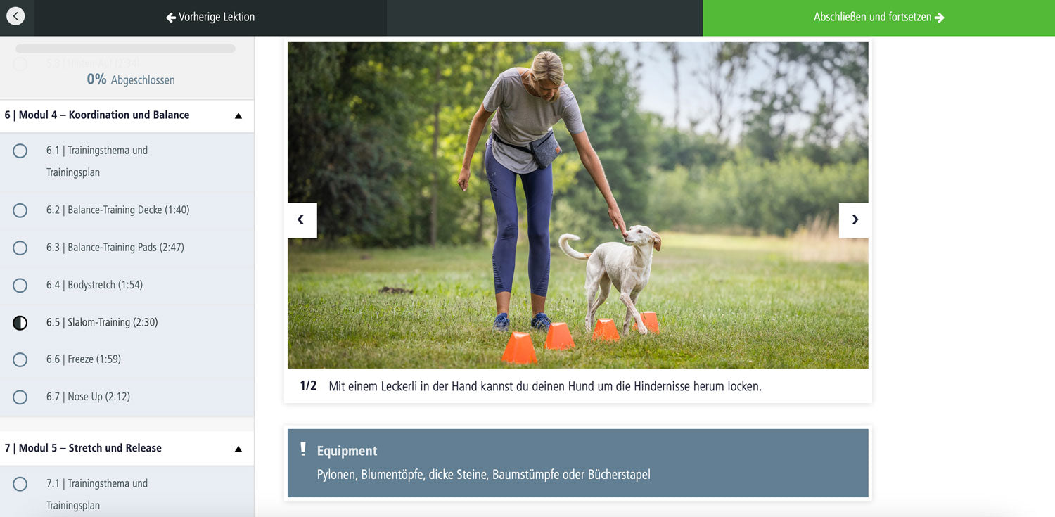 Just Fit – Hundefitness für Jederhund