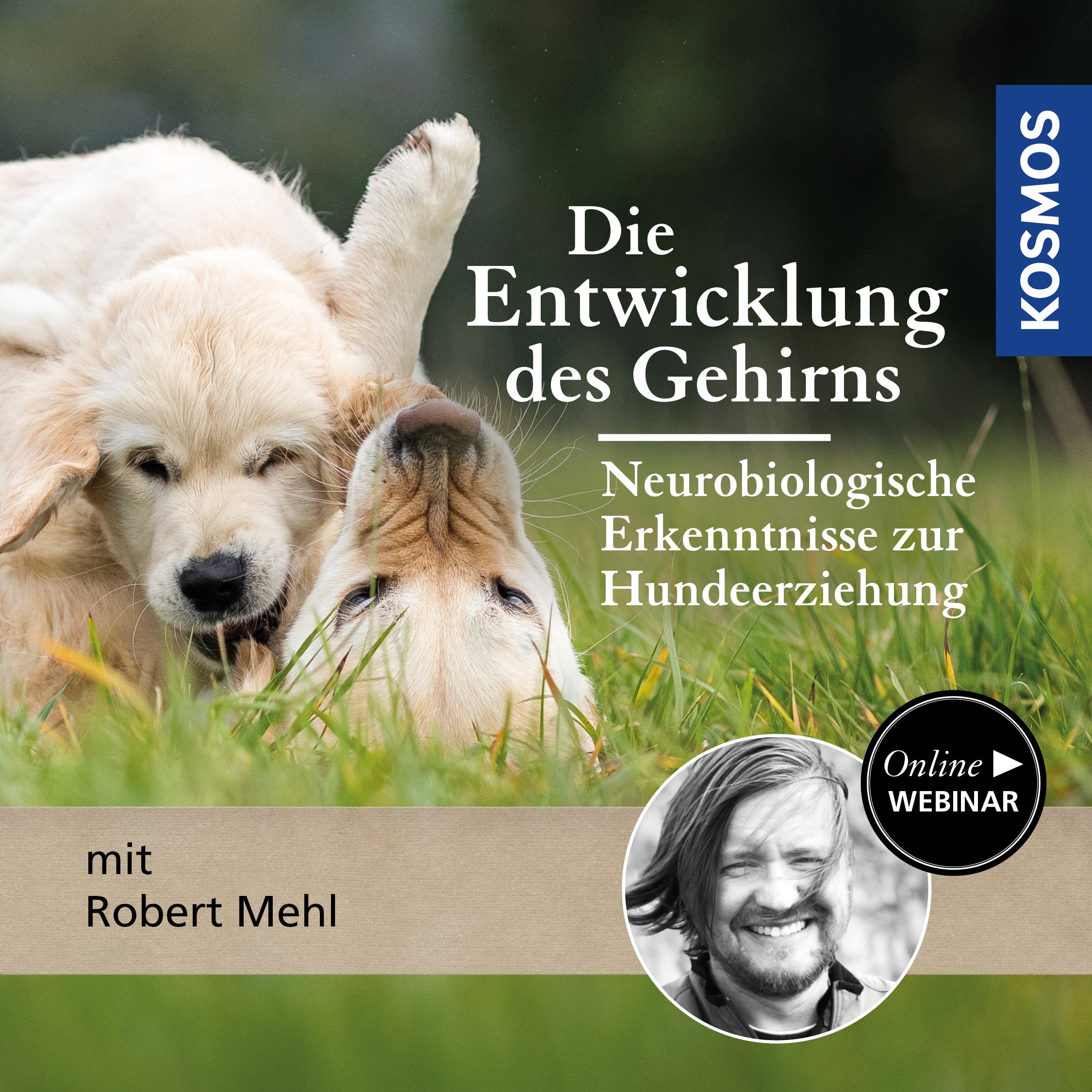 Die Entwicklung des Gehirns – Neurobiologische Erkenntnisse für die Hundeerziehung