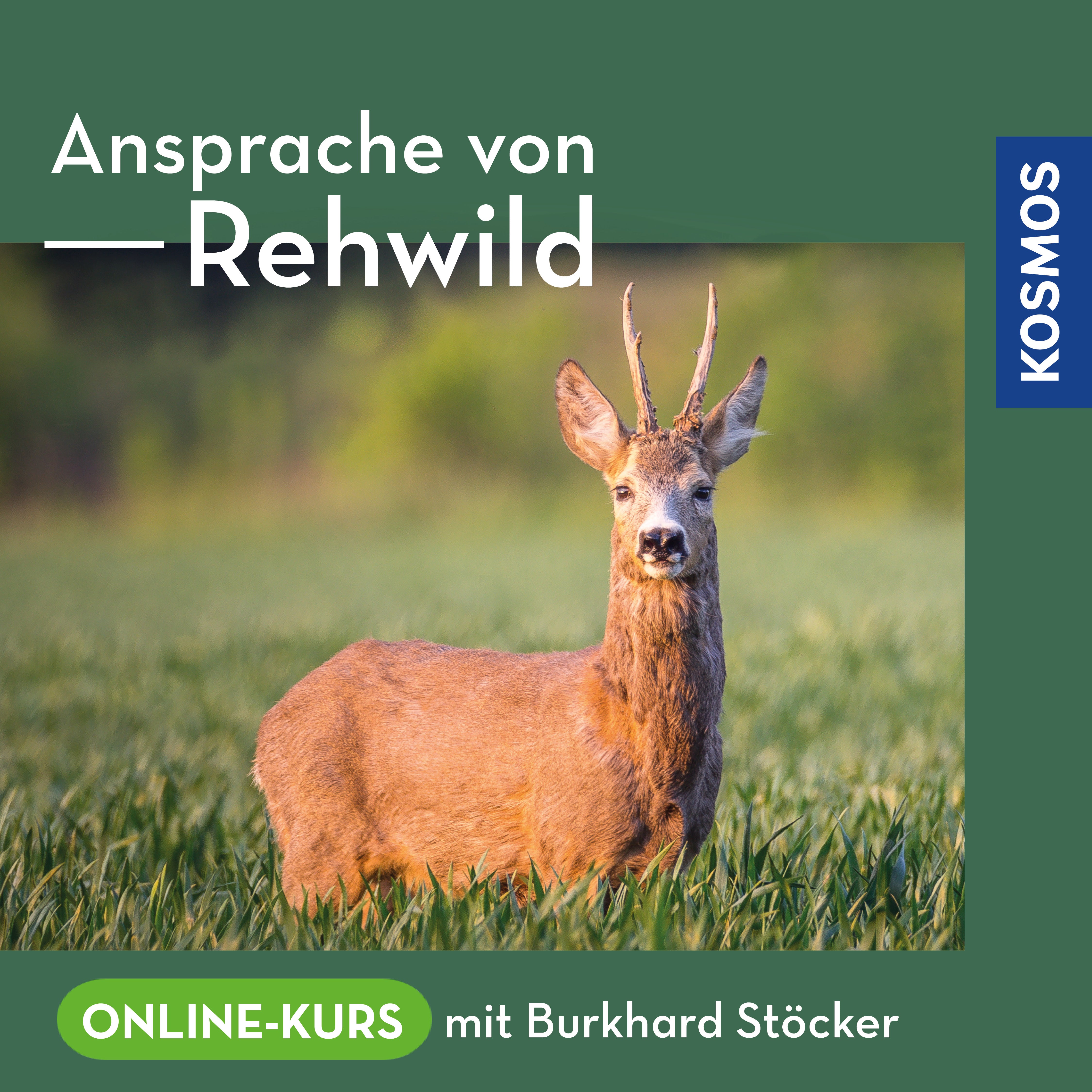 Ansprache von Rehwild - Online-Kurs mit Burkhard Stöcker