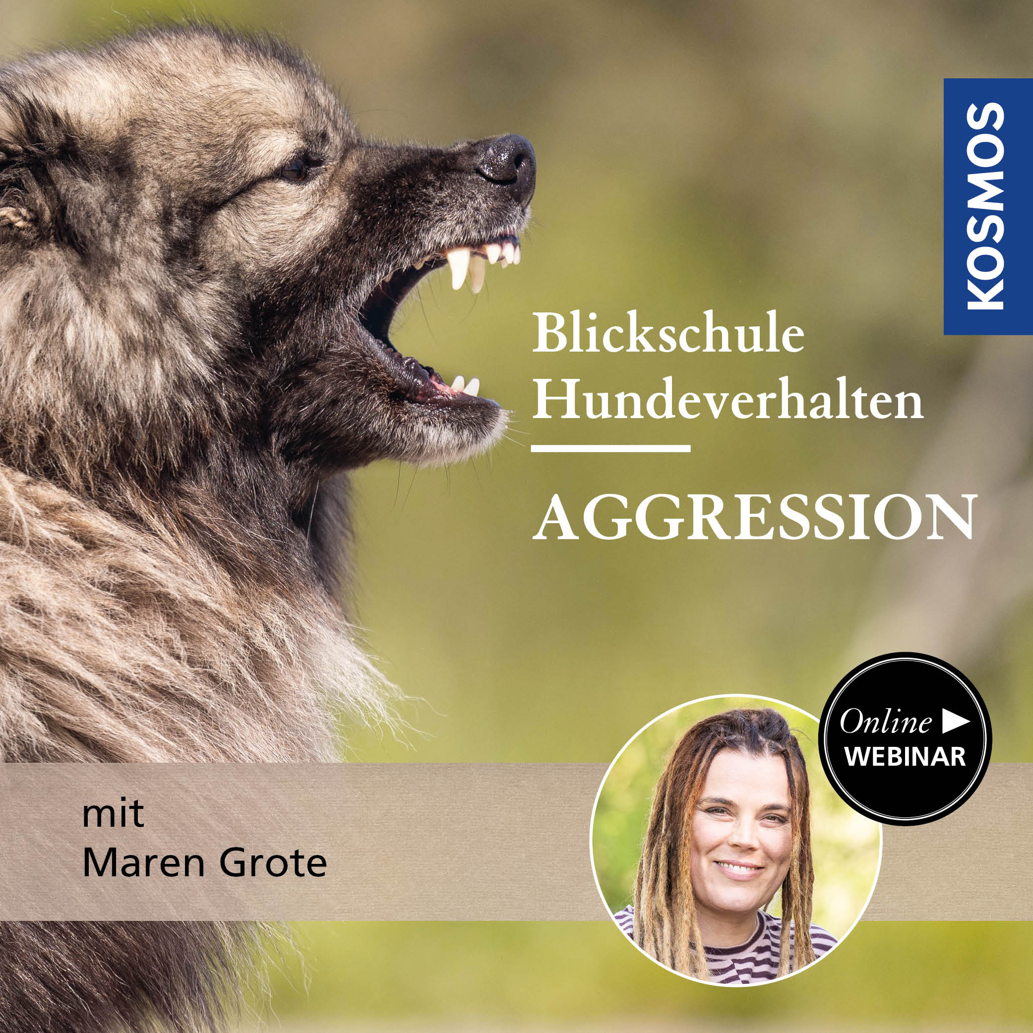 Blickschule Hundeverhalten – Aggression