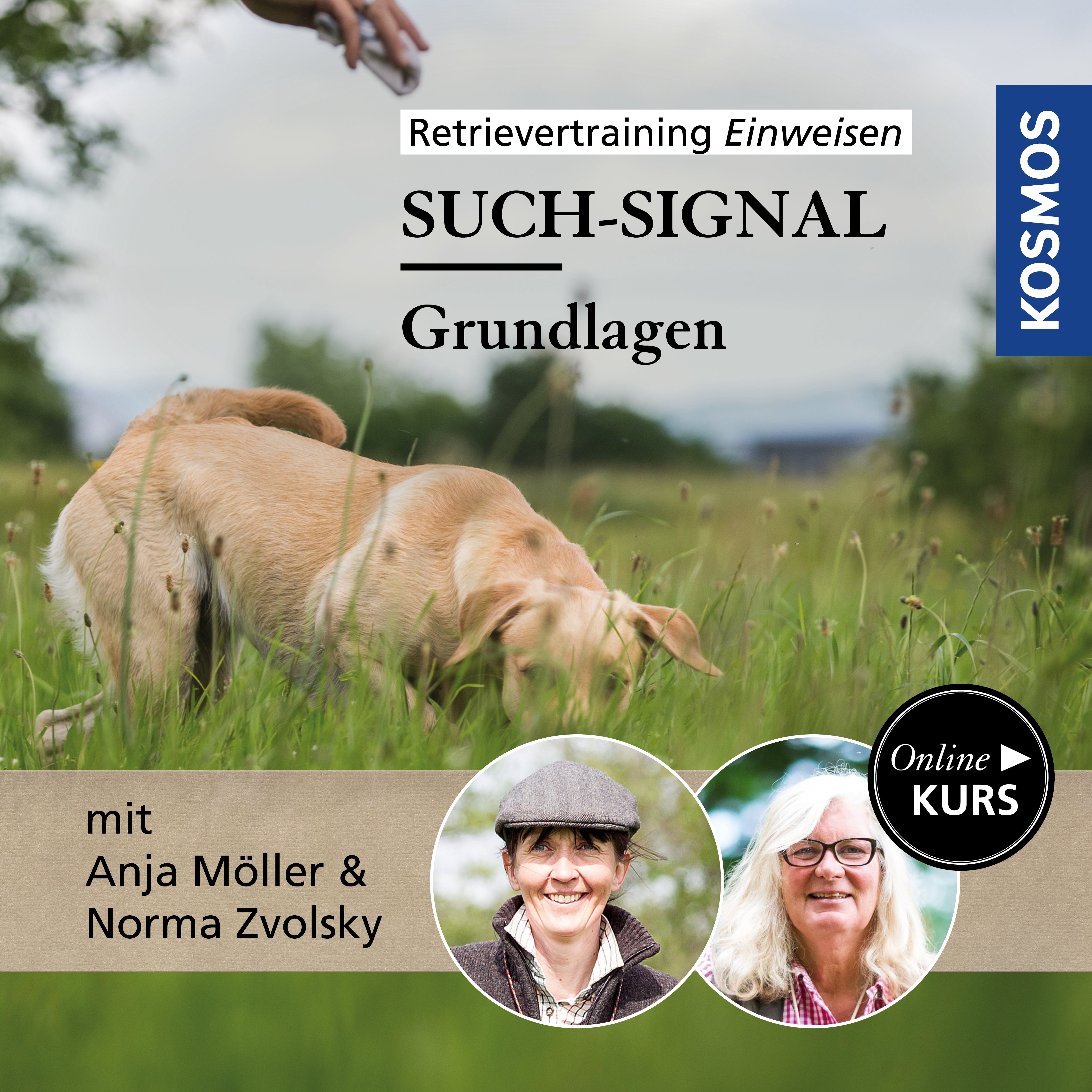Retrievertraining Einweisen – Grundlagen Such-Signal