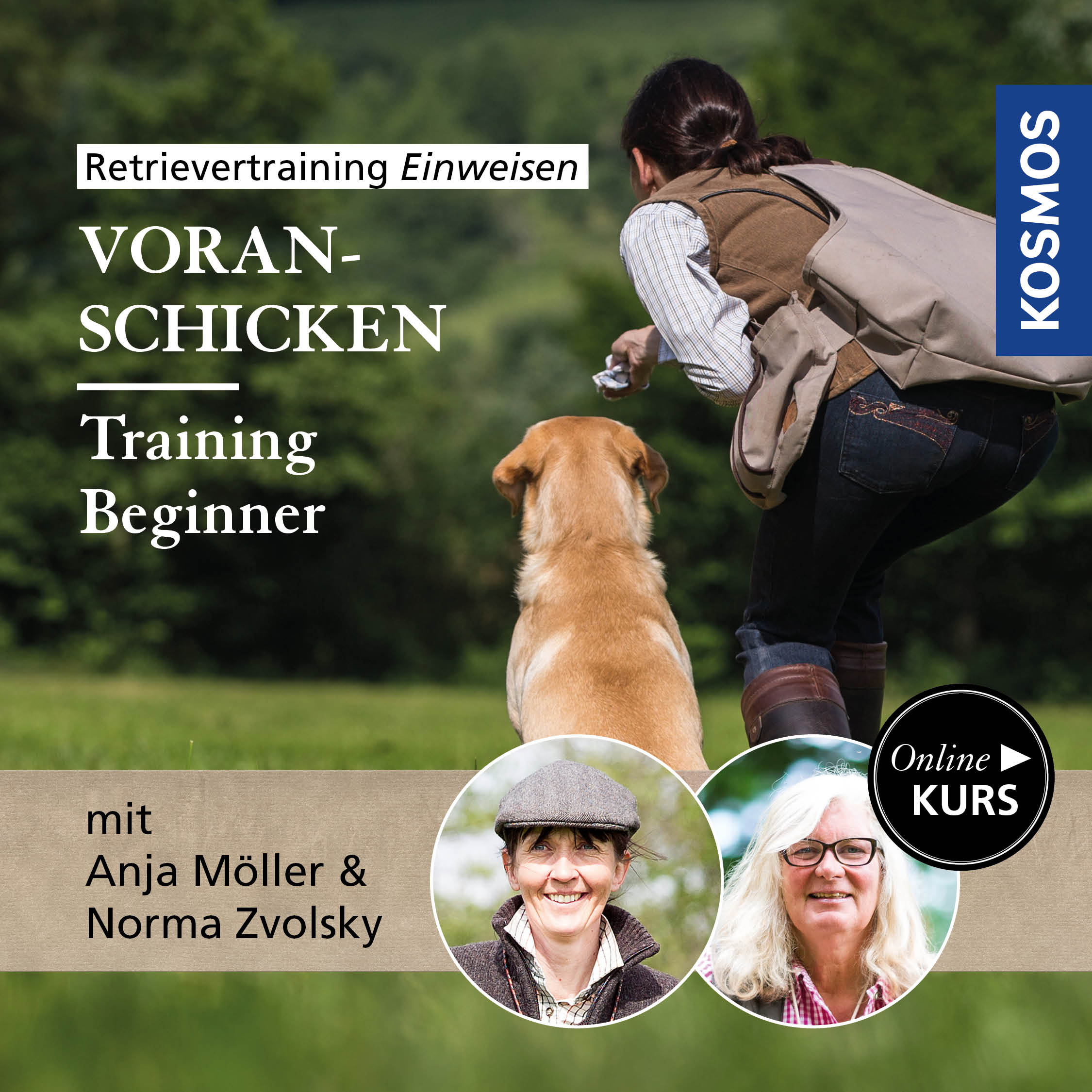 Retrievertraining Einweisen – Training Beginner Voran-Schicken