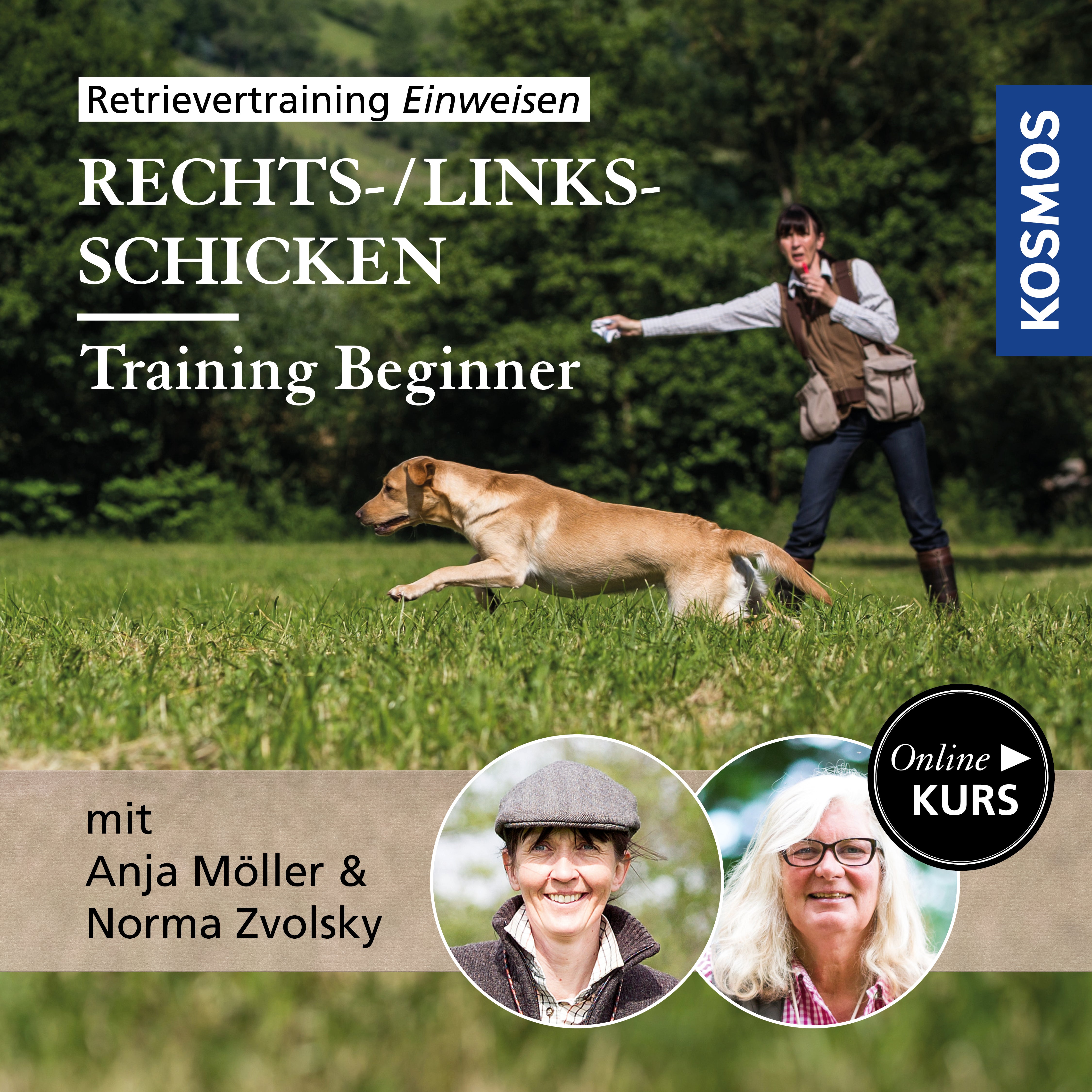 Retrievertraining Einweisen – Training Beginner Rechts-/Links-Schicken