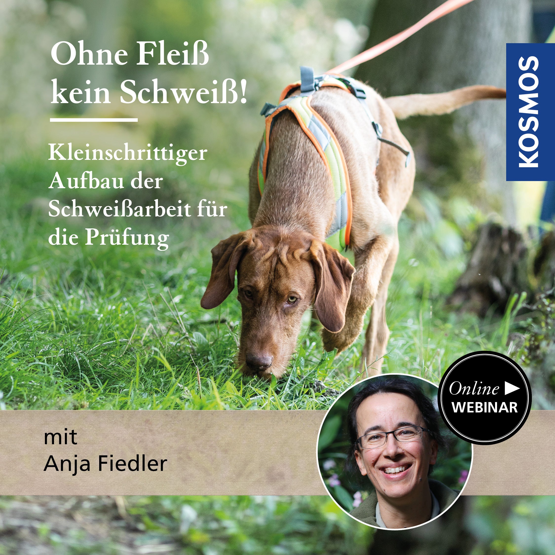 Ohne Fleiß, kein Schweiß! – Kleinschrittiger Aufbau der Schweißarbeit für die Prüfung