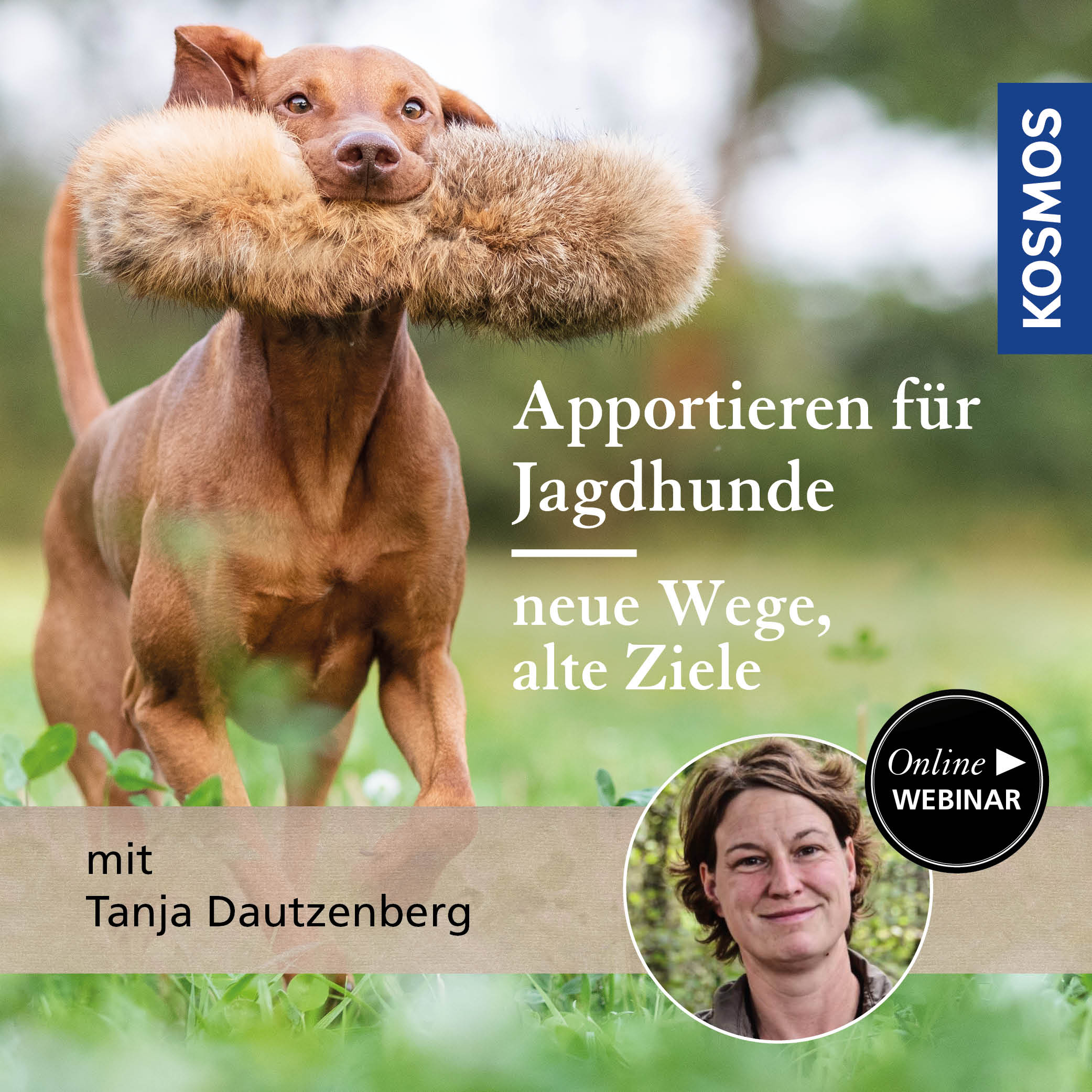 Apportieren für Jagdhunde – neue Wege, alte Ziele