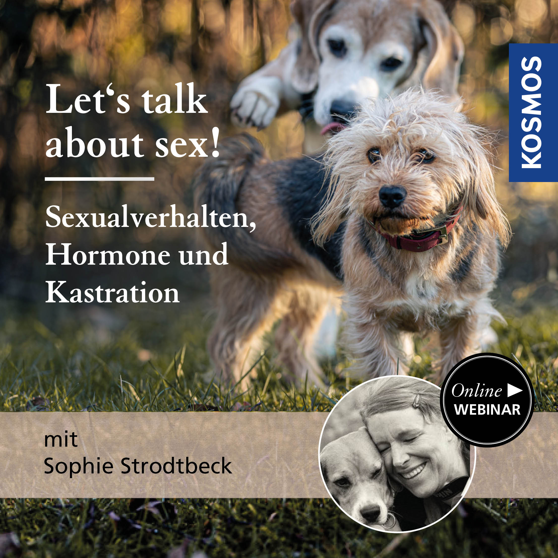 Let’s talk about sex! Sexualverhalten, Hormone und Kastration bei Hunden