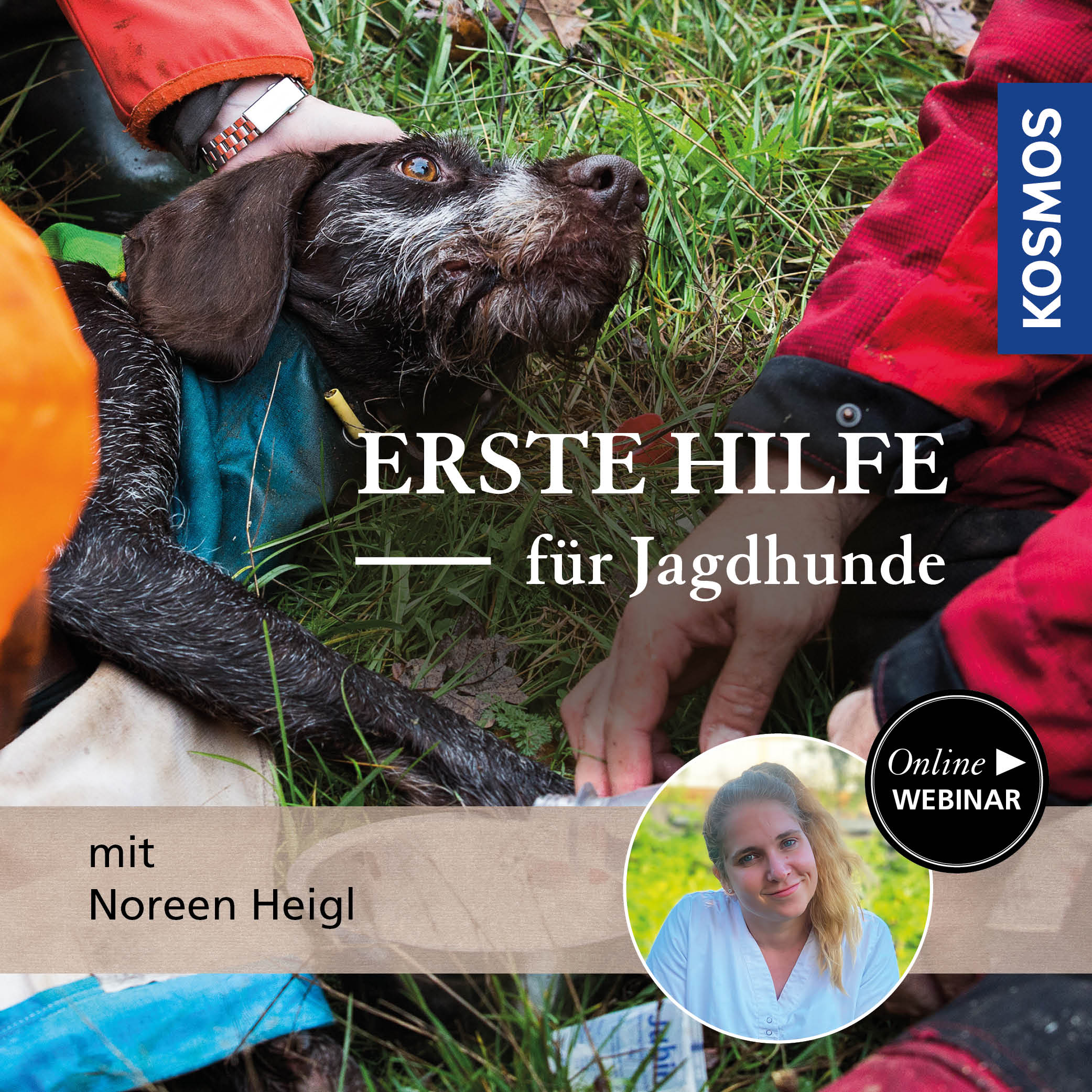 Erste Hilfe für Jagdhunde