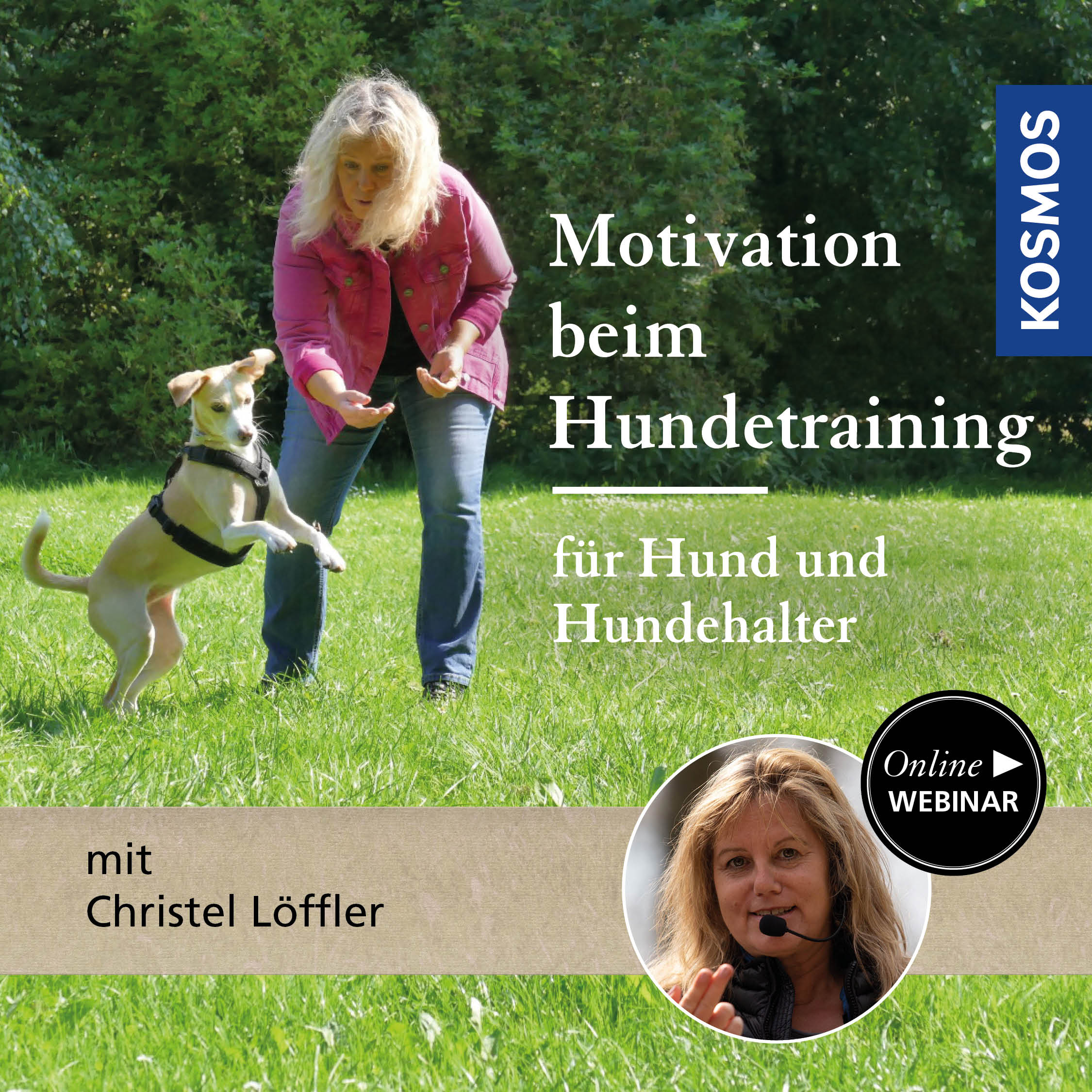 Motivation in Dog Training – for Dogs and Owners
