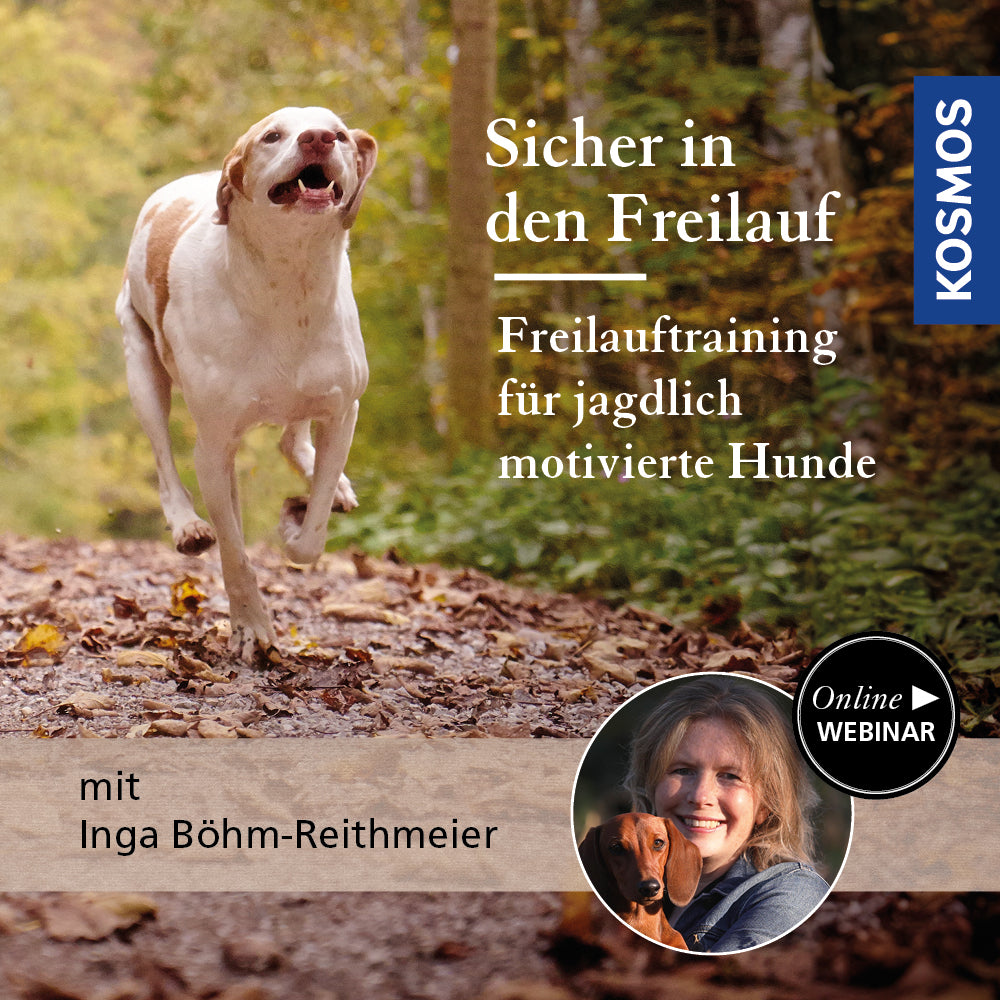 Sicher in den Freilauf – Freilauftraining für jagdlich motivierte Hunde