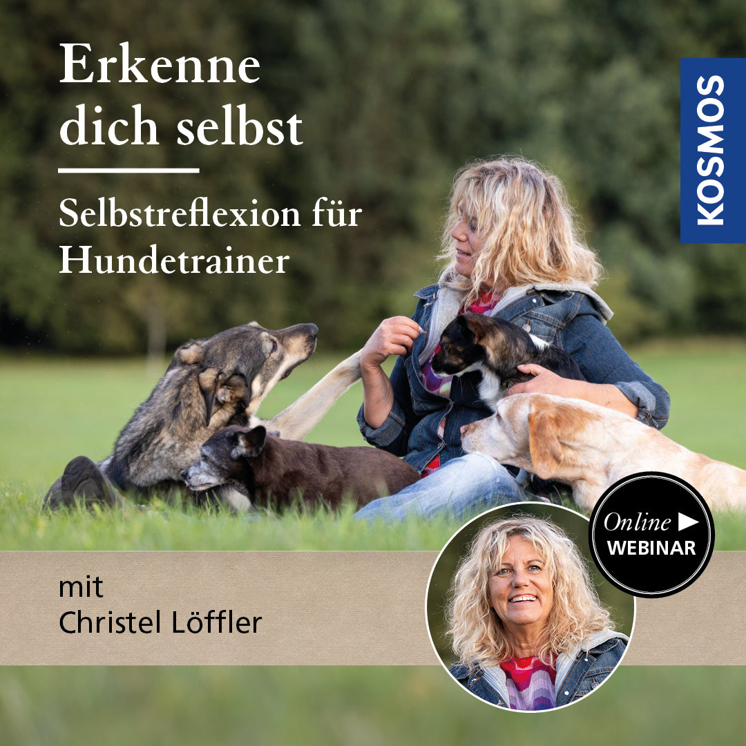 Erkenne dich selbst - Selbstreflexion für Hundetrainer