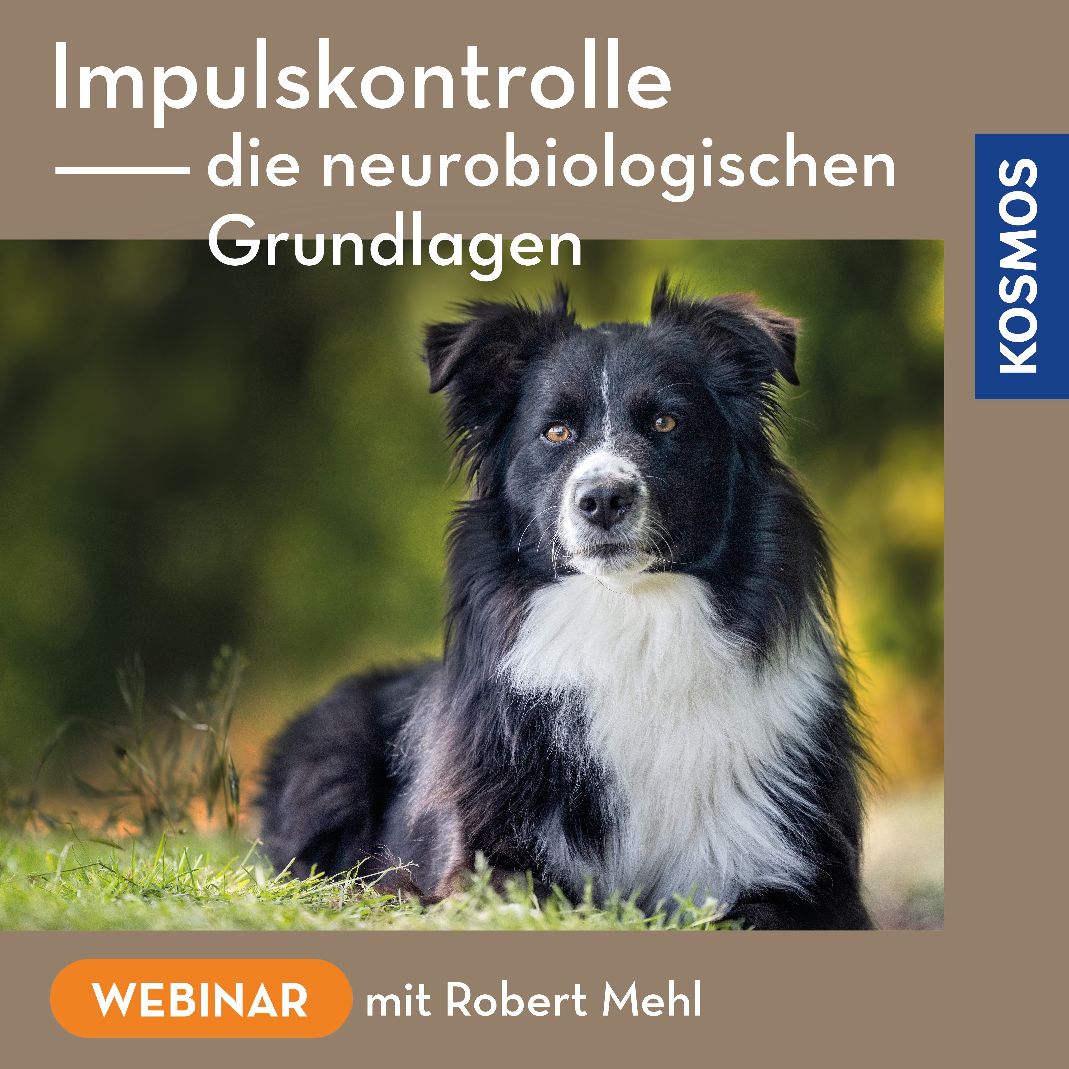 Impulskontrolle – Die neurobiologischen Grundlagen