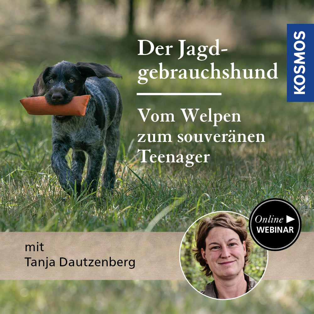 Der Jagdgebrauchshund – Vom Welpen zum souveränen Teenager