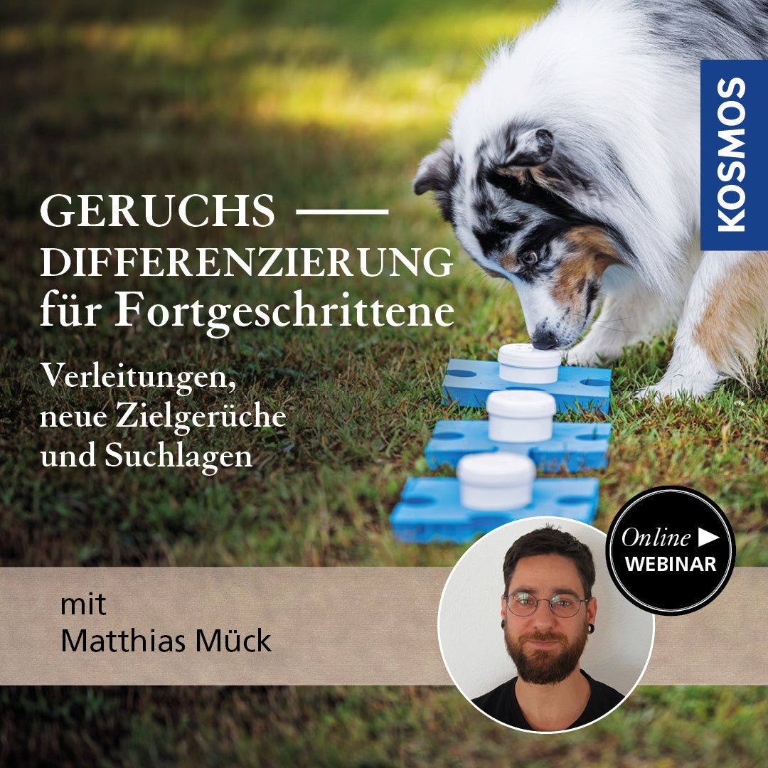 Geruchsdifferenzierung für Fortgeschrittene – Verleitungen, neue Zielgerüche und Suchlagen