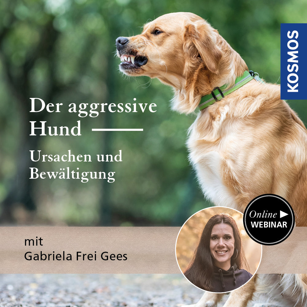 The Aggressive Dog – Causes and Management