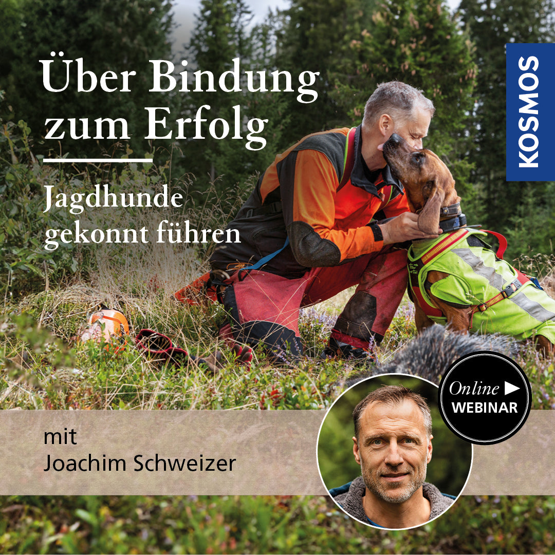 Über Bindung zum Erfolg – Jagdhunde gekonnt führen