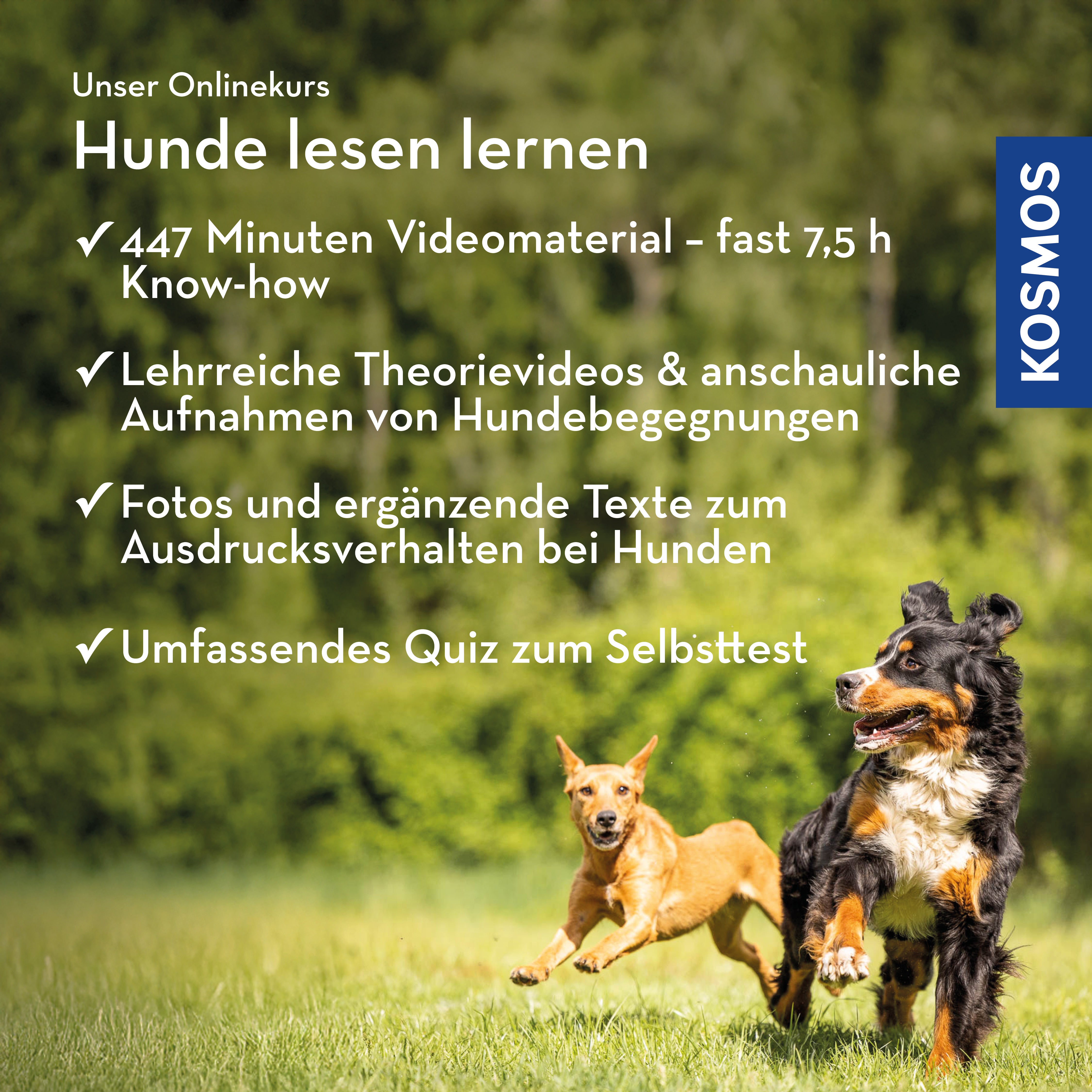 Hunde lesen lernen – Körpersprache beim Hund deuten