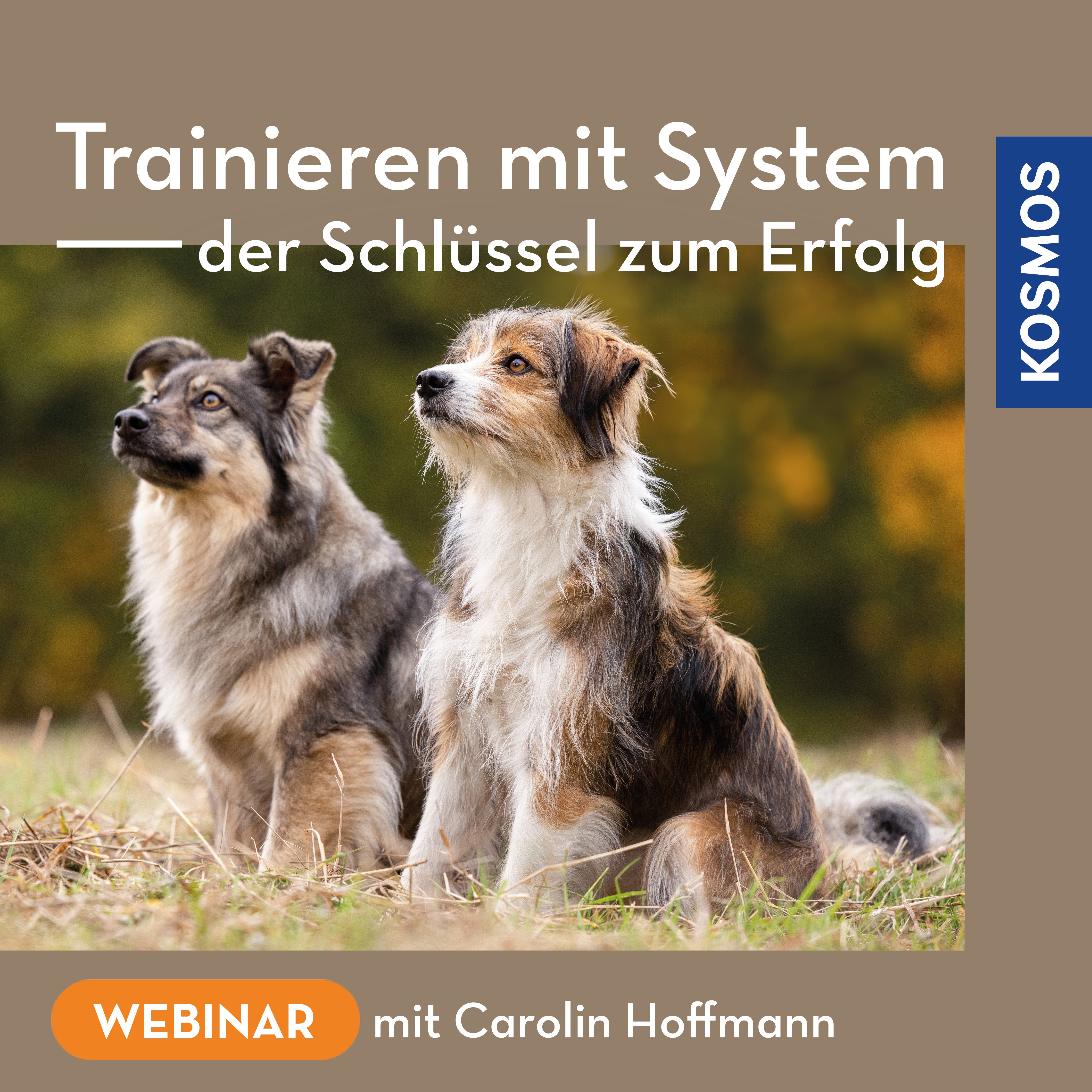 Trainieren mit System – der Schlüssel zum Erfolg