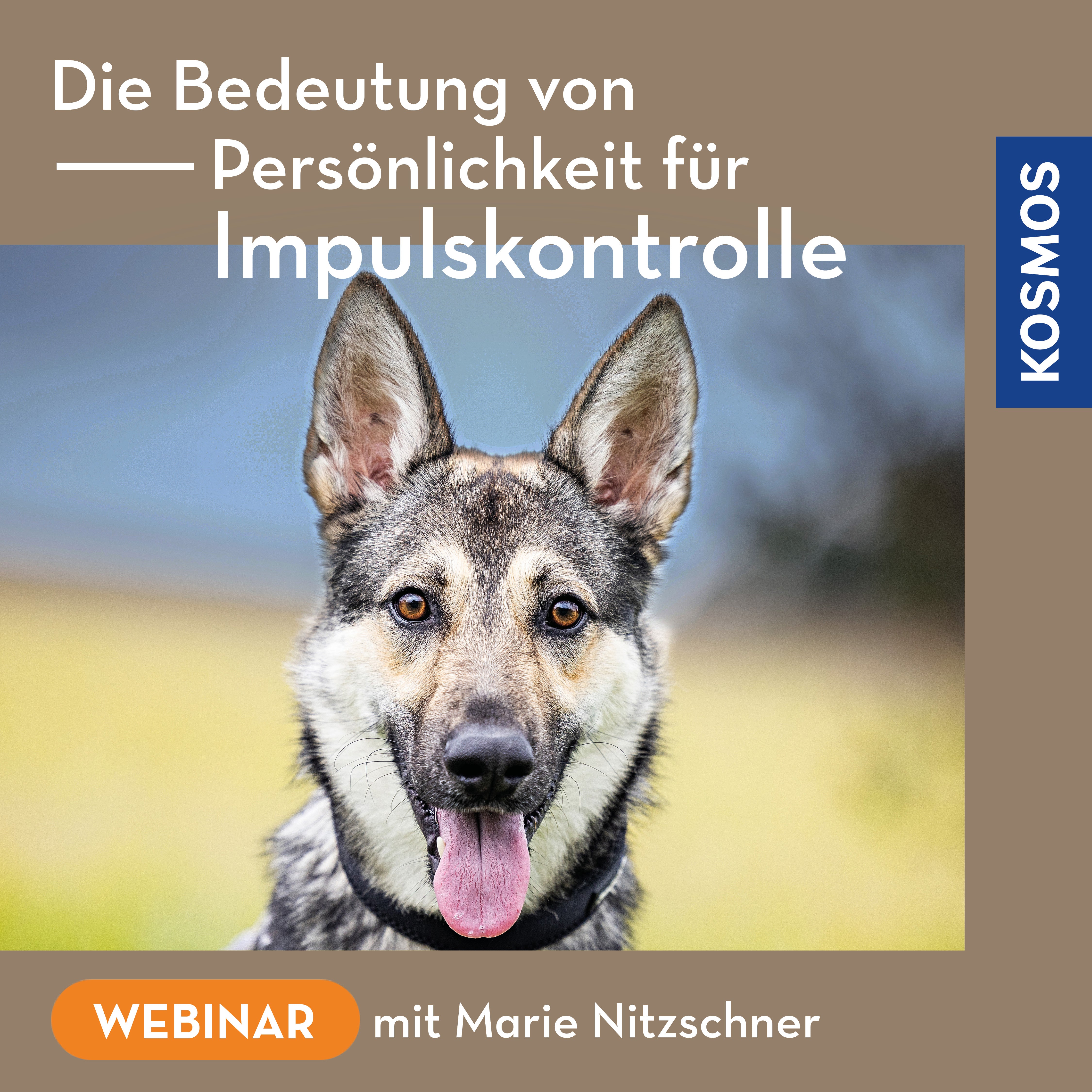 Die Bedeutung von Persönlichkeit für Impulskontrolle