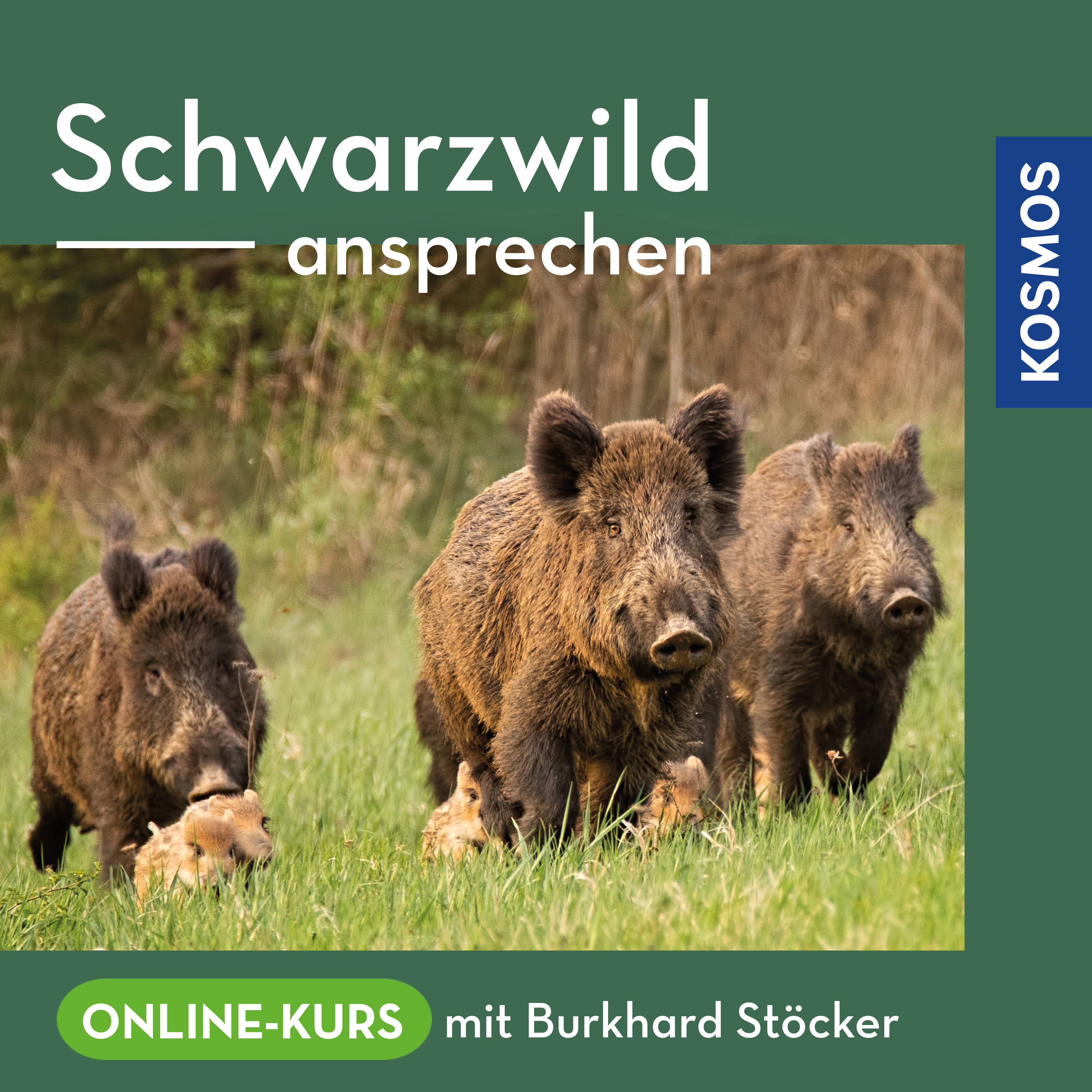 Ansprechen von Schwarzwild – Online-Kurs mit Burkhard Stöcker