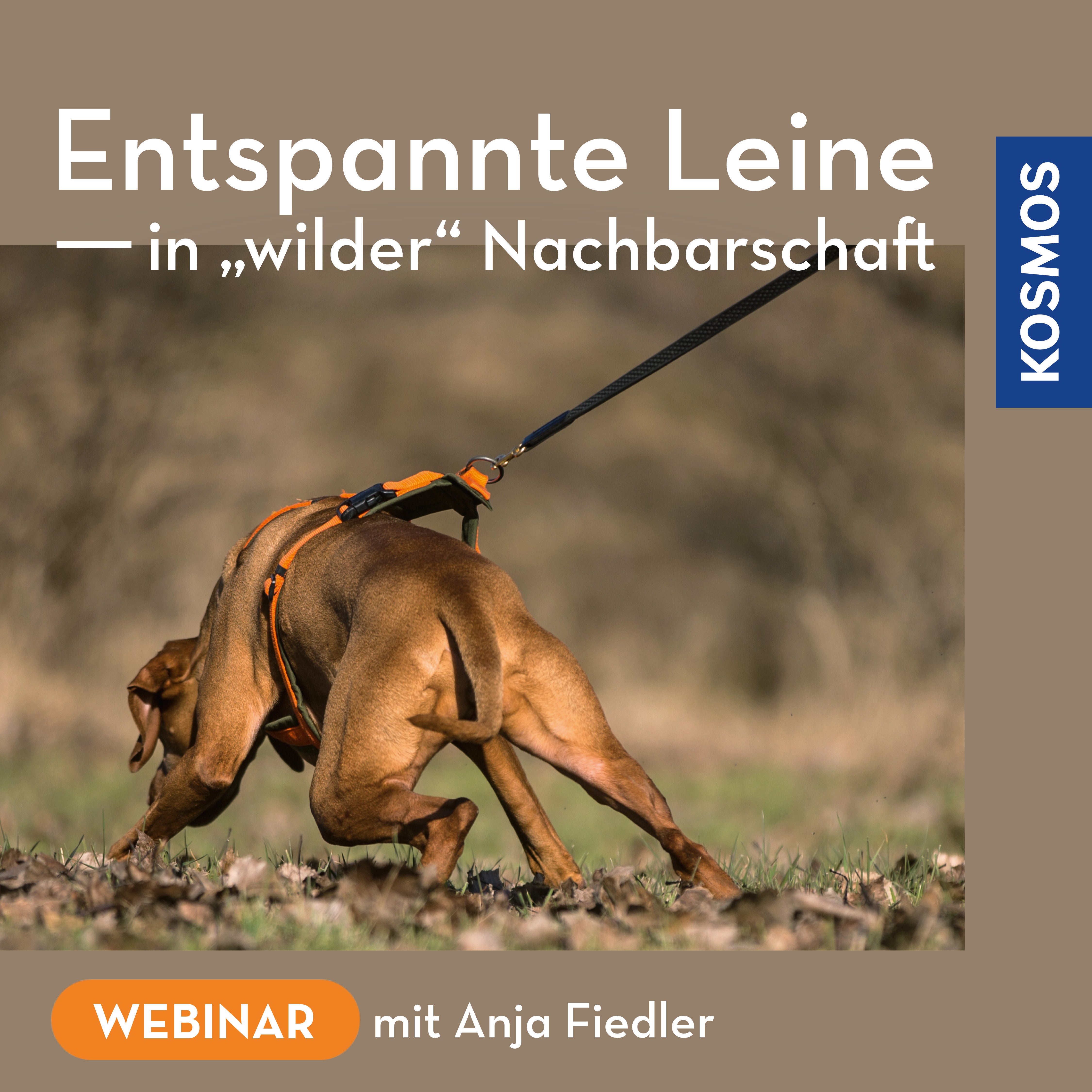 Entspannte Leine in wilder Nachbarschaft