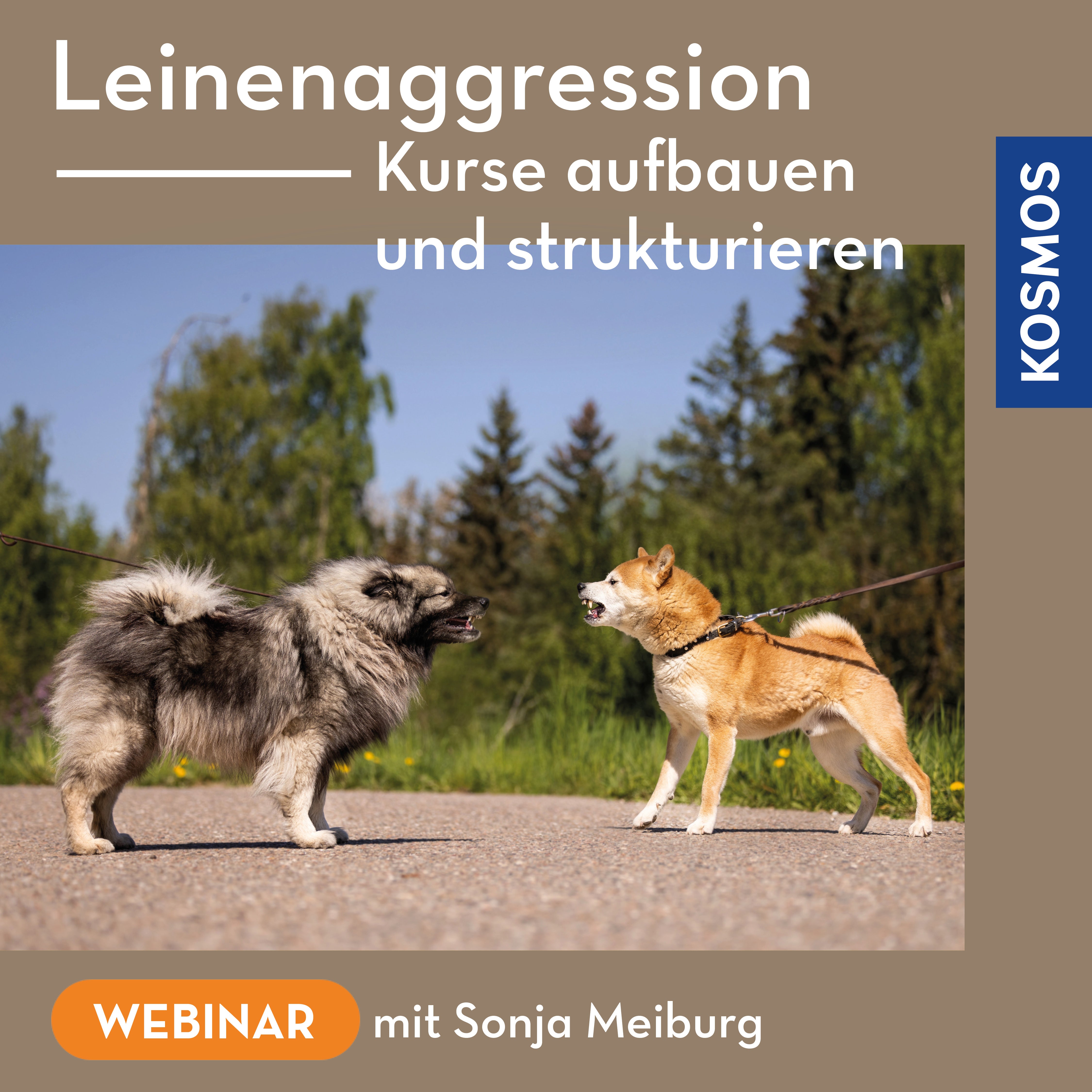 Leinenaggression – Kurse aufbauen und strukturieren
