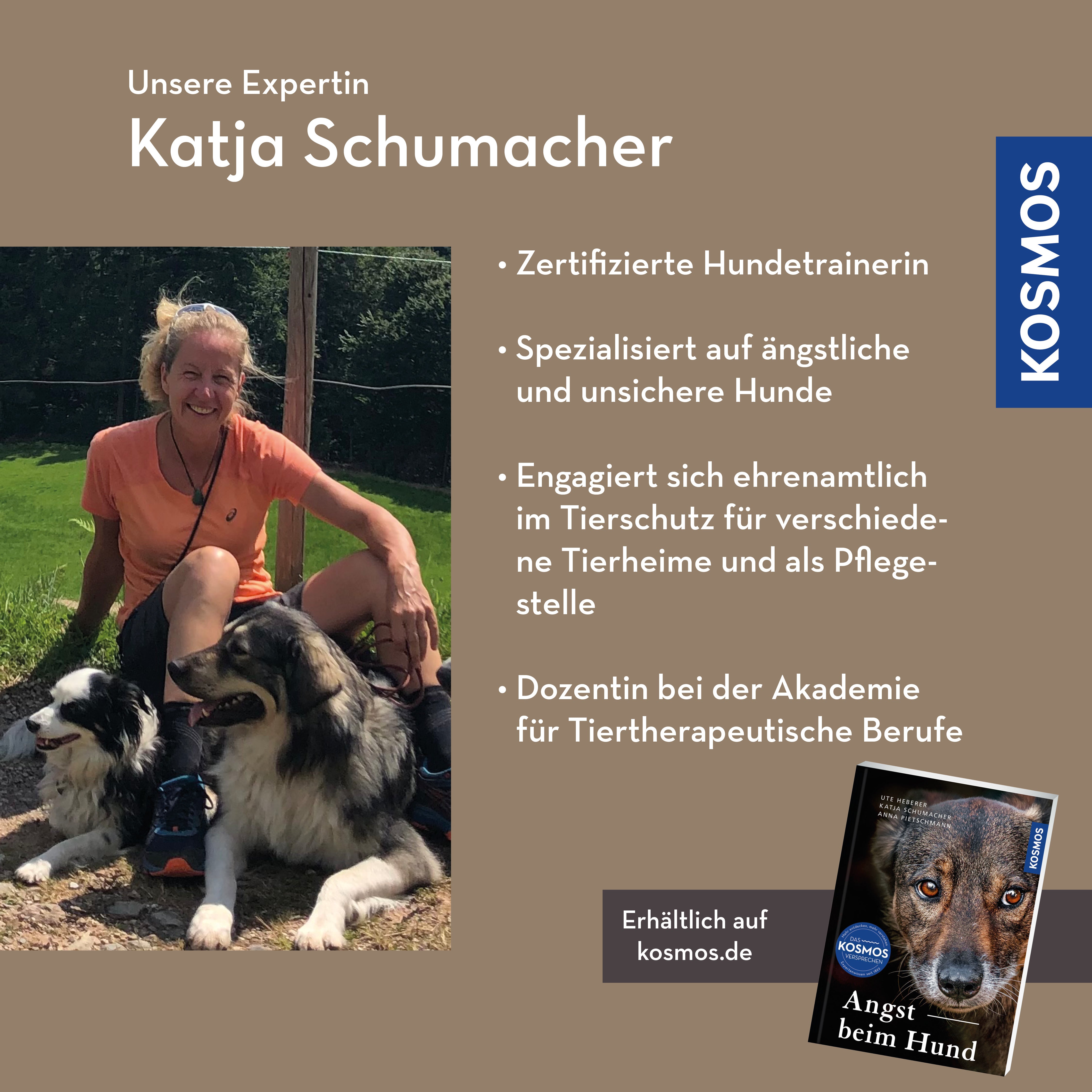 Angst beim Hund – Fallbeispiele und Trainingsansätze
