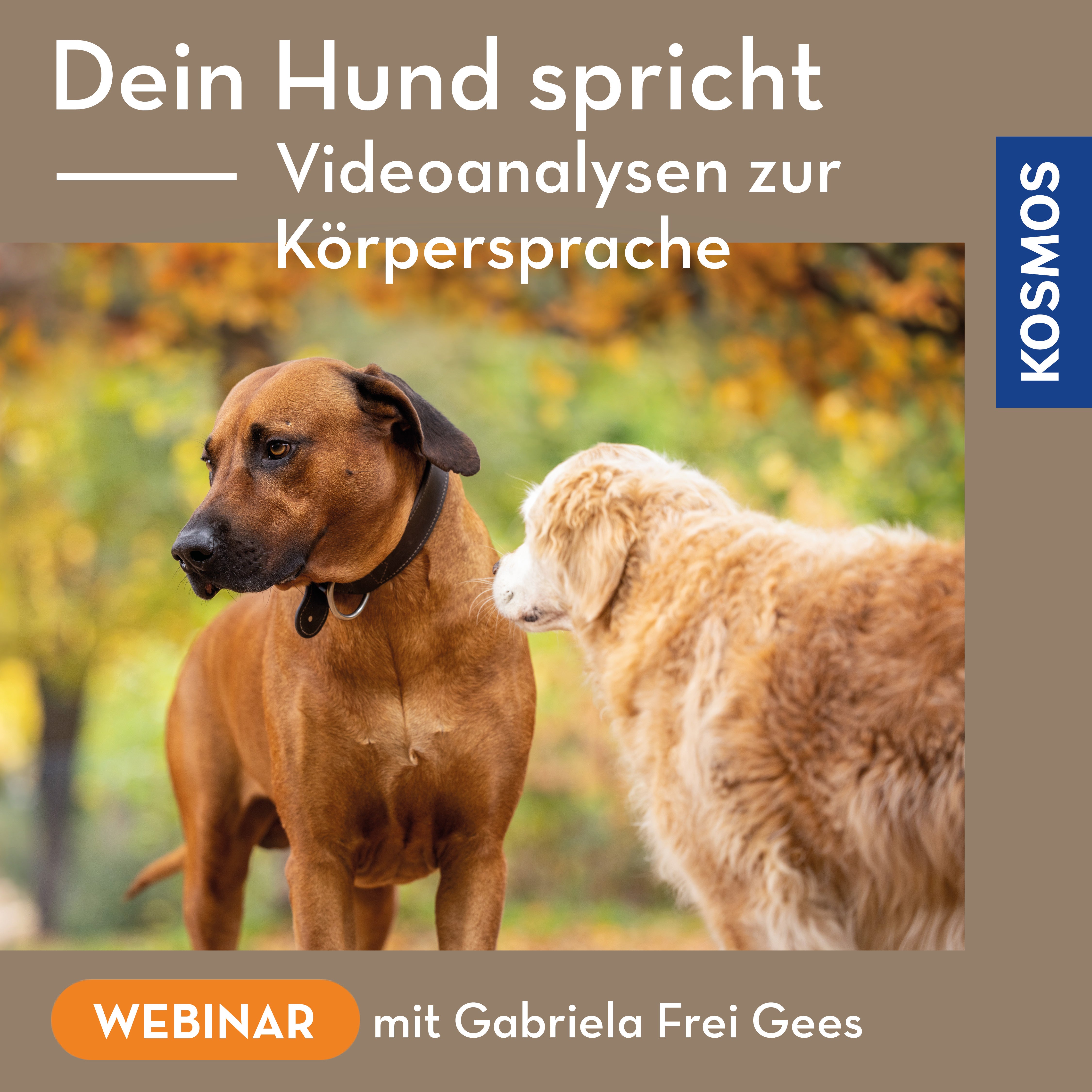 Dein Hund spricht – Videoanalysen zur Körpersprache