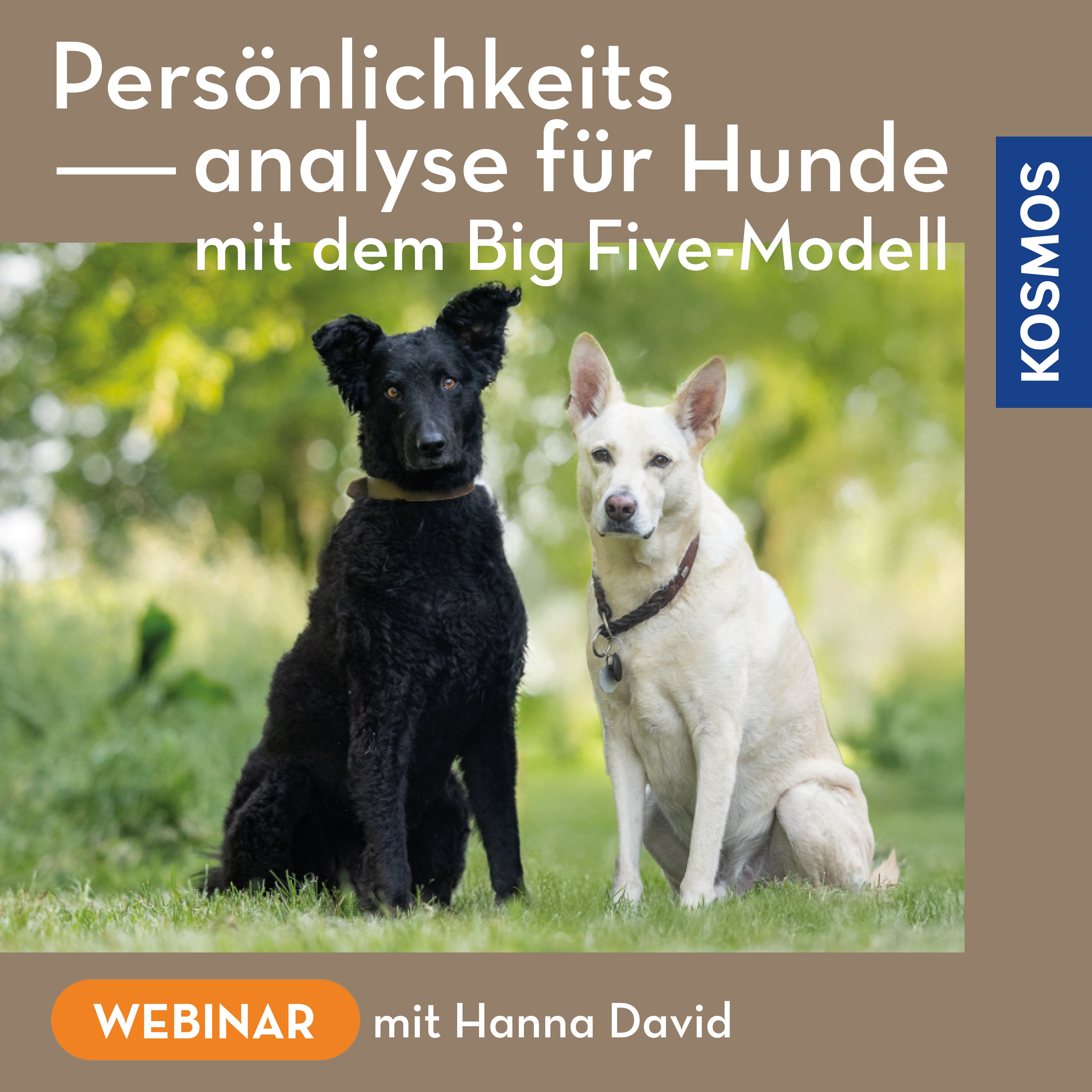 Persönlichkeitsanalyse für Hunde – mit dem Big Five-Modell