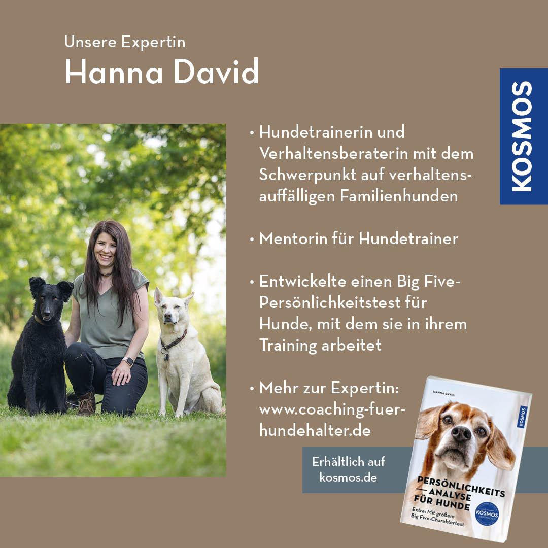Persönlichkeitsanalyse für Hunde – mit dem Big Five-Modell