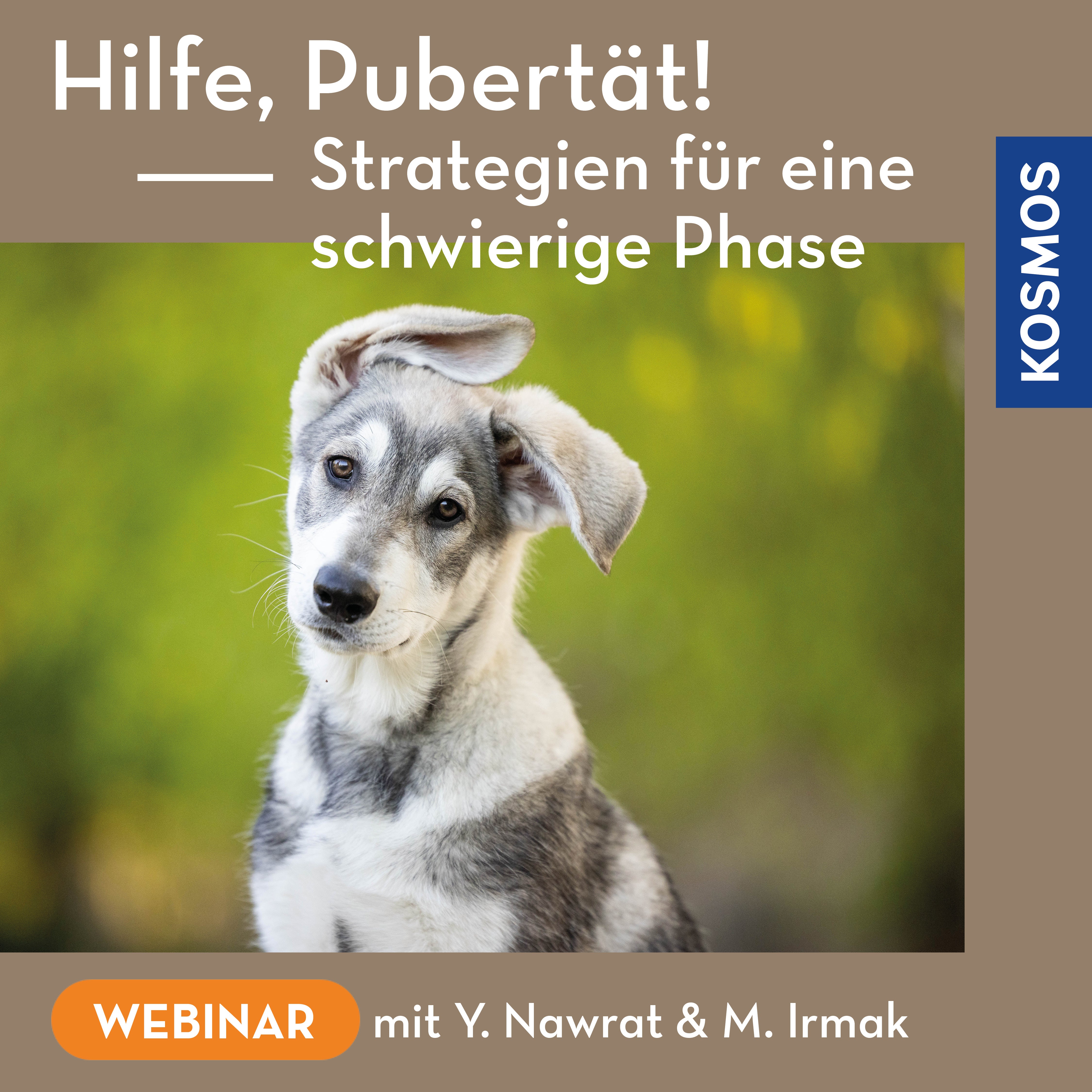 Hilfe, Pubertät! Strategien für eine schwierige Phase