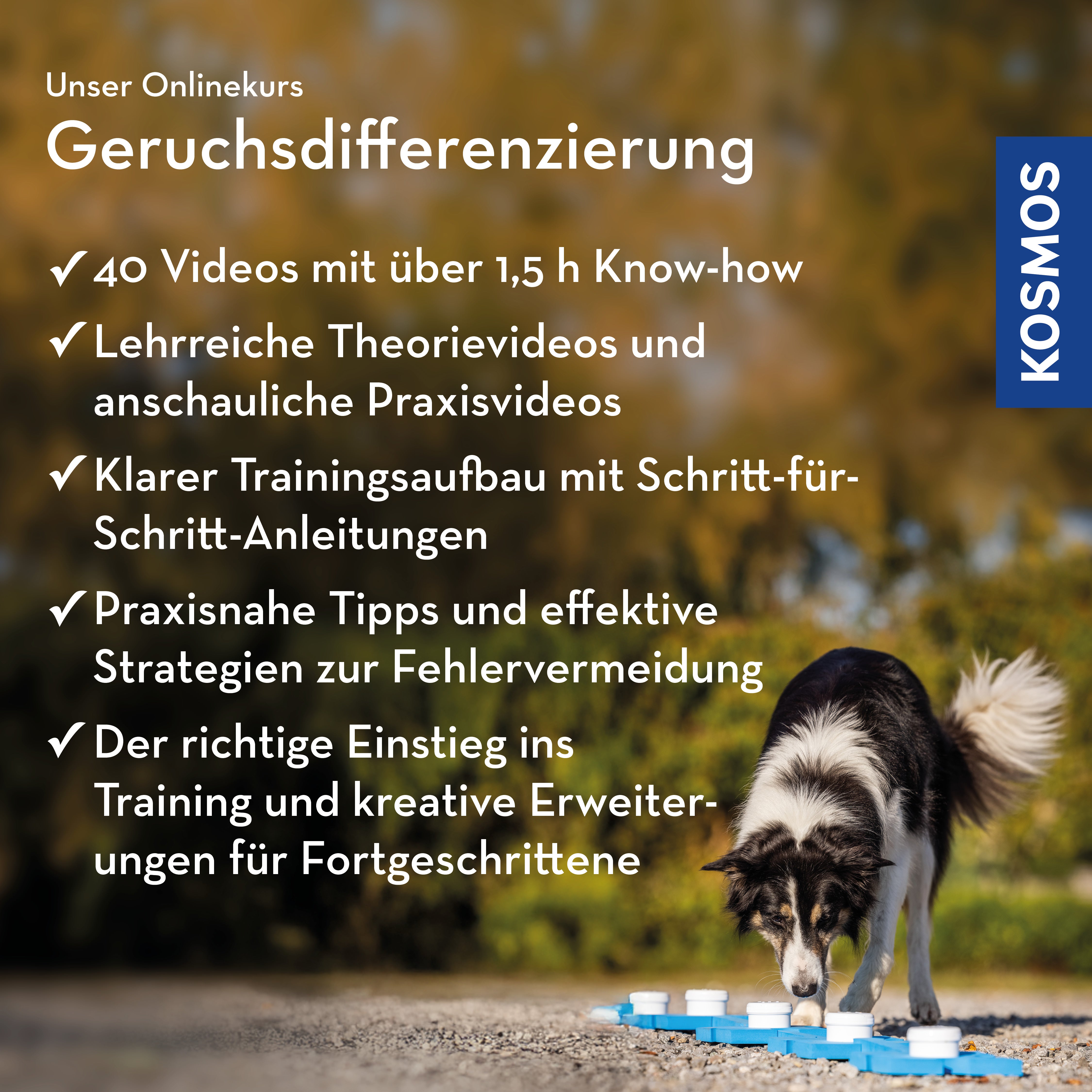 Geruchsdifferenzierung