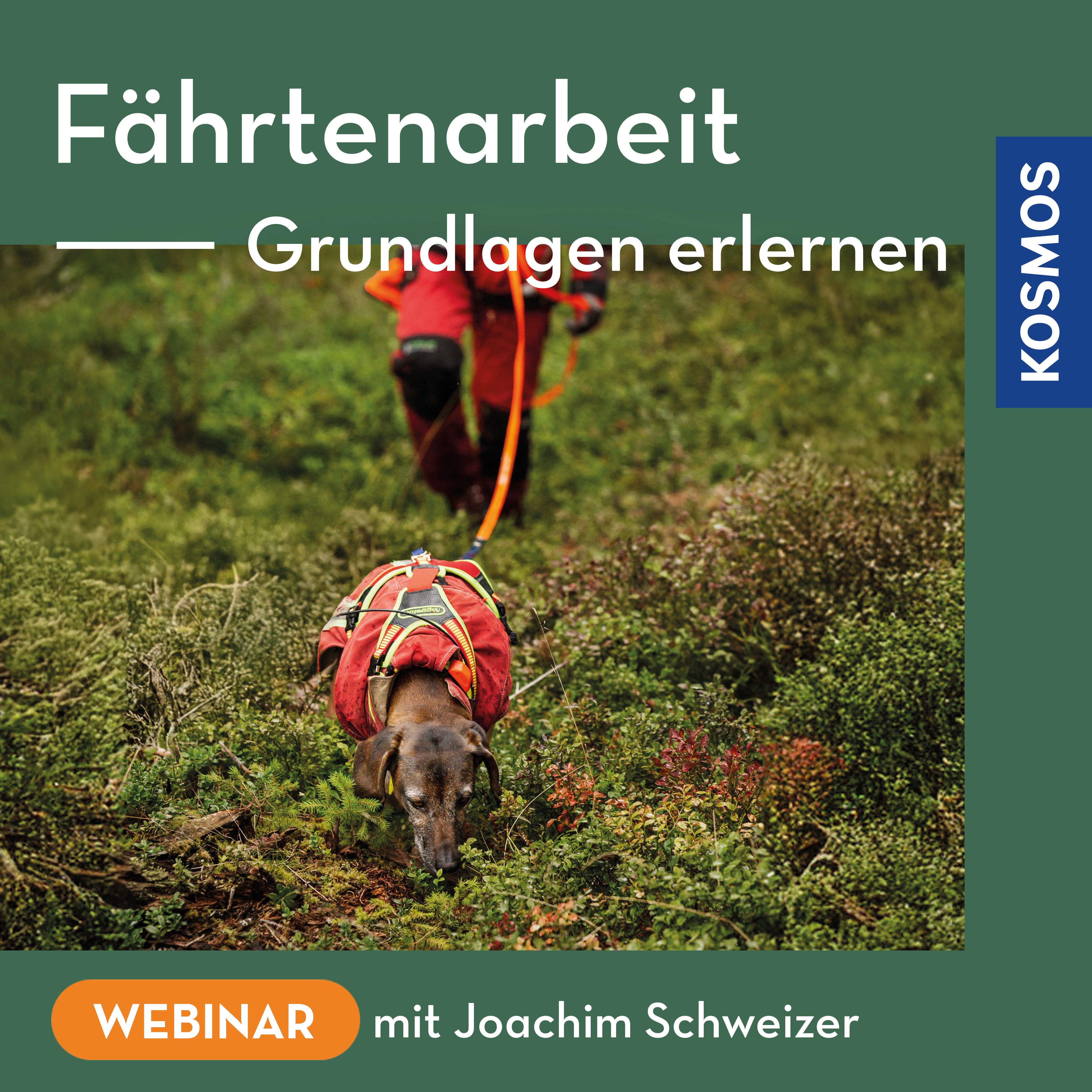 Fährtenarbeit – Grundlagen erlernen