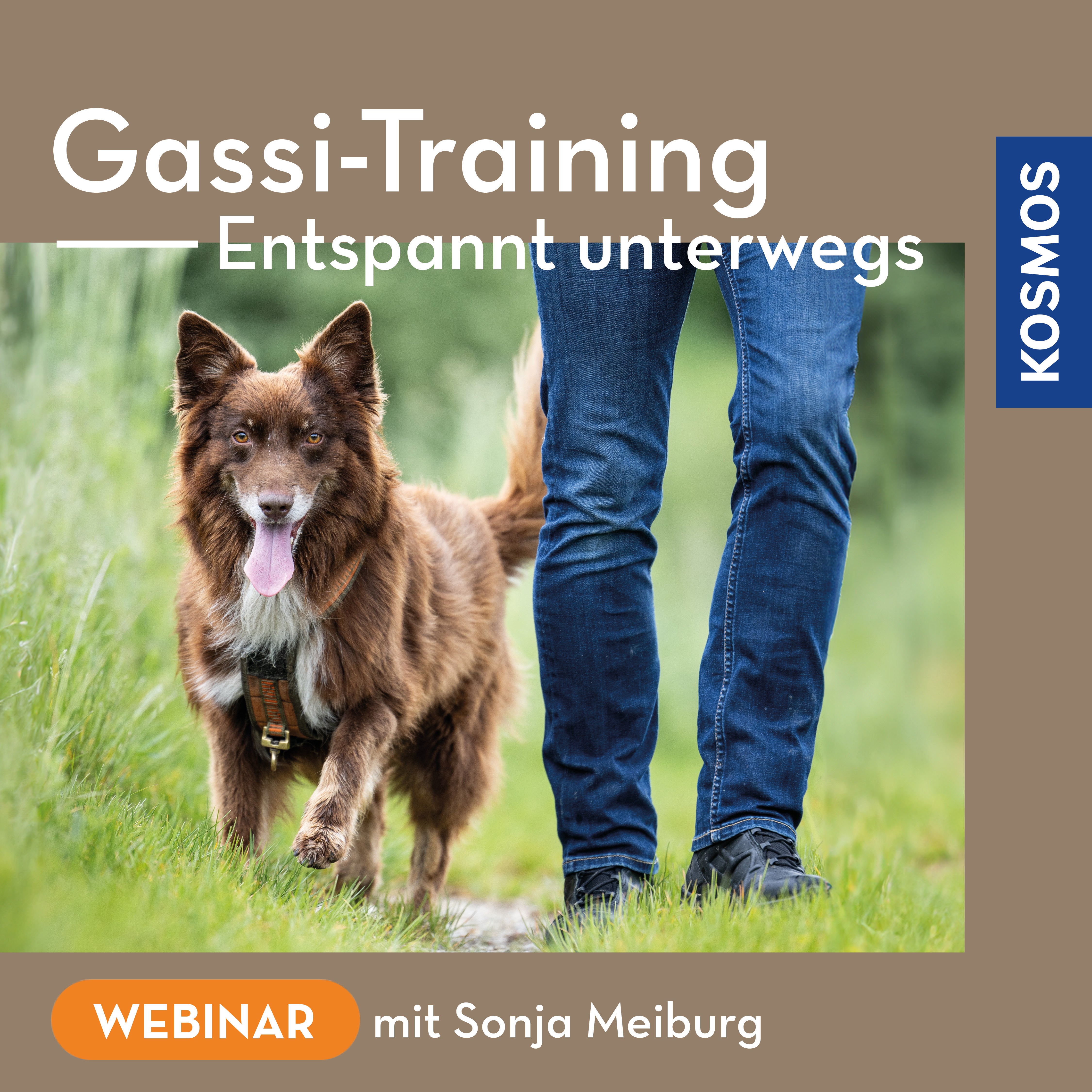 Gassi-Training – Entspannt unterwegs