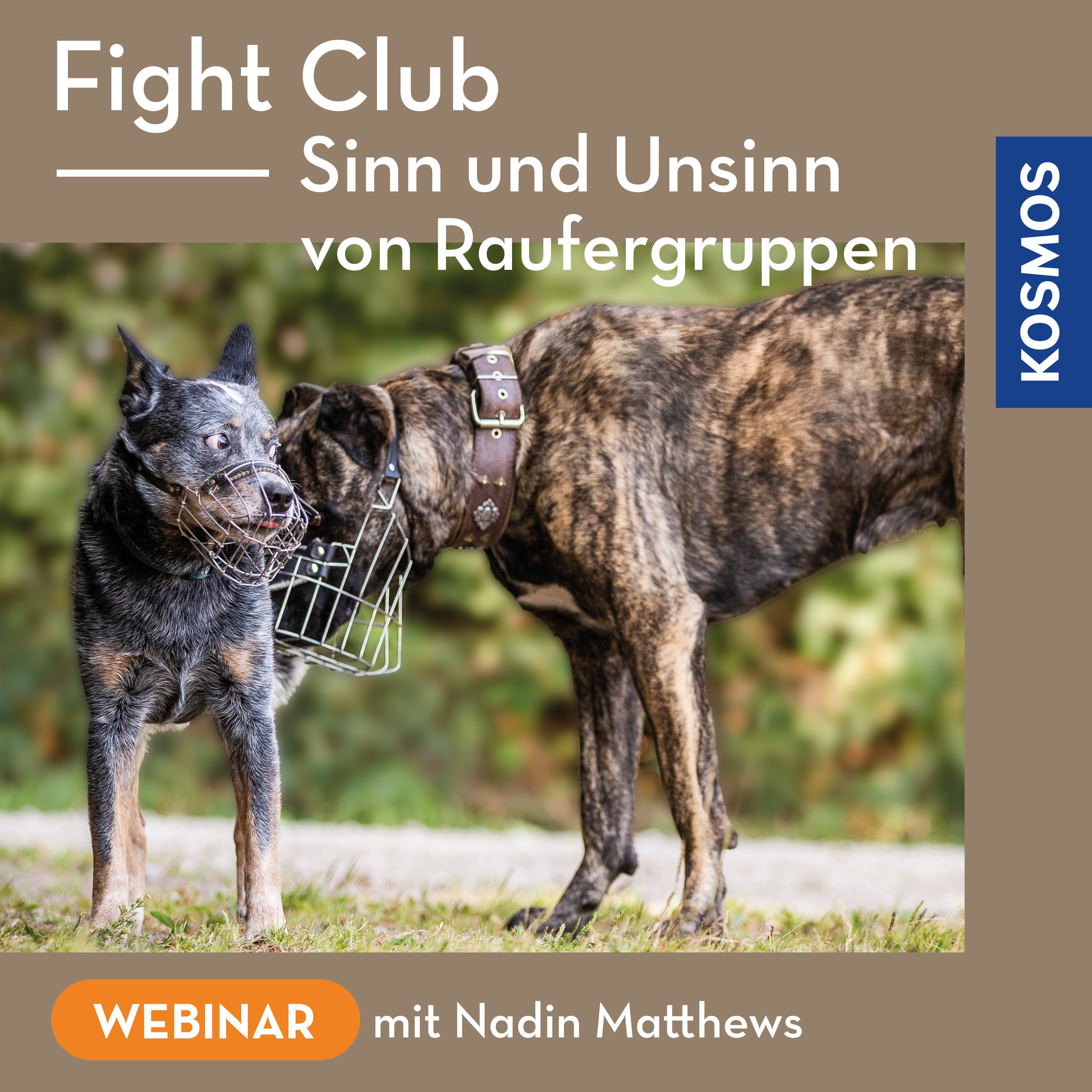 Fight Club – Sense and Nonsense of Fighting Groups
