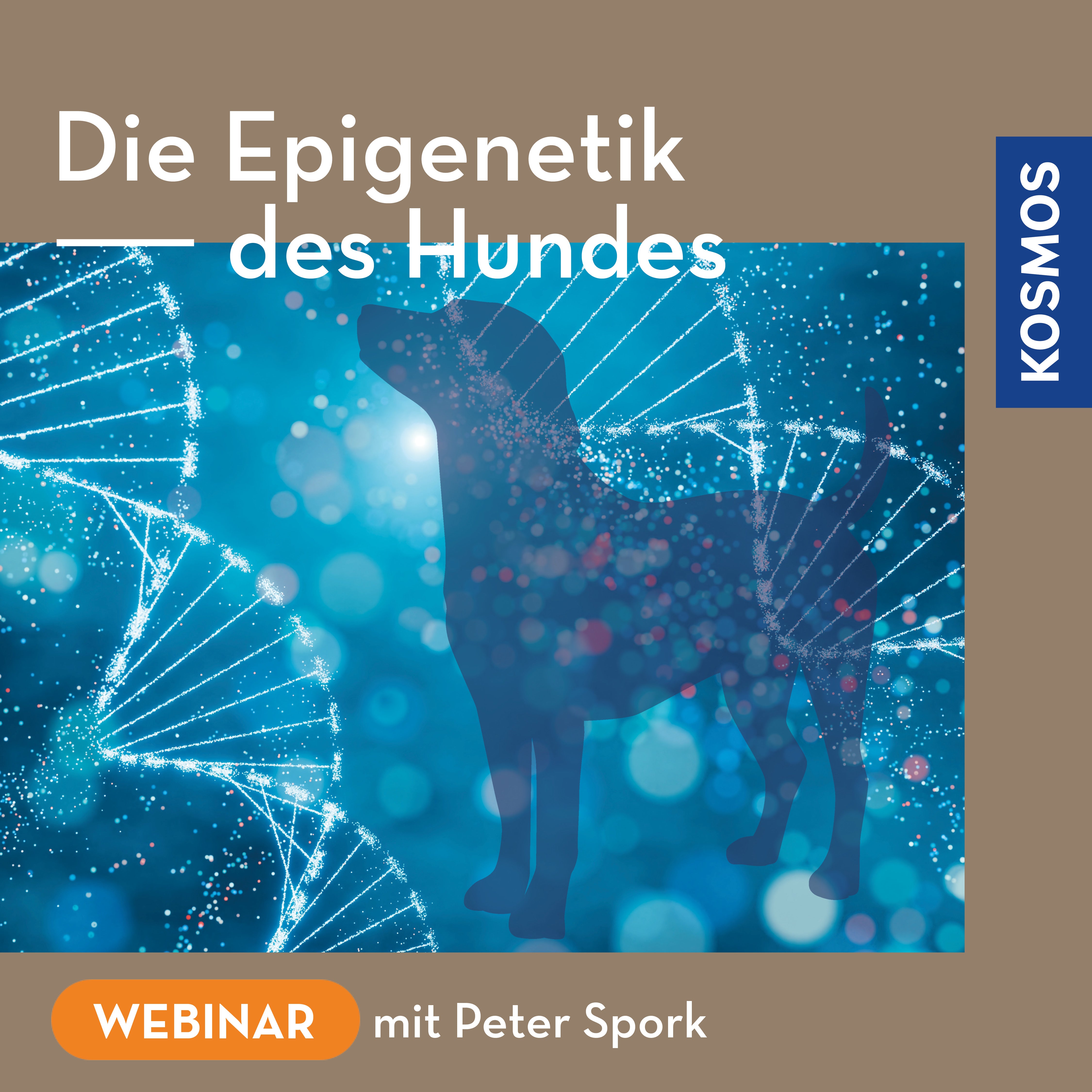 Die Epigenetik des Hundes