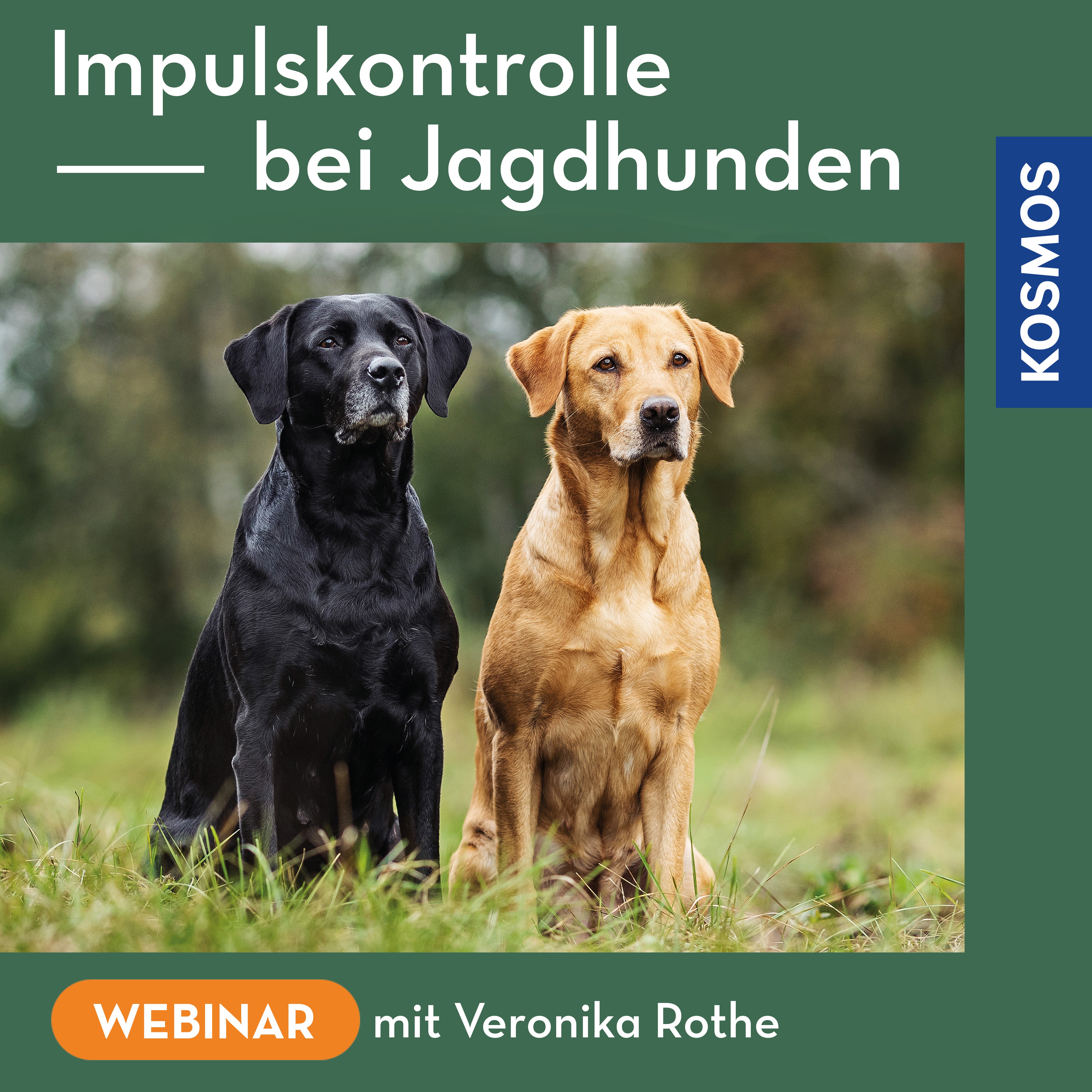 Impulskontrolle bei Jagdhunden